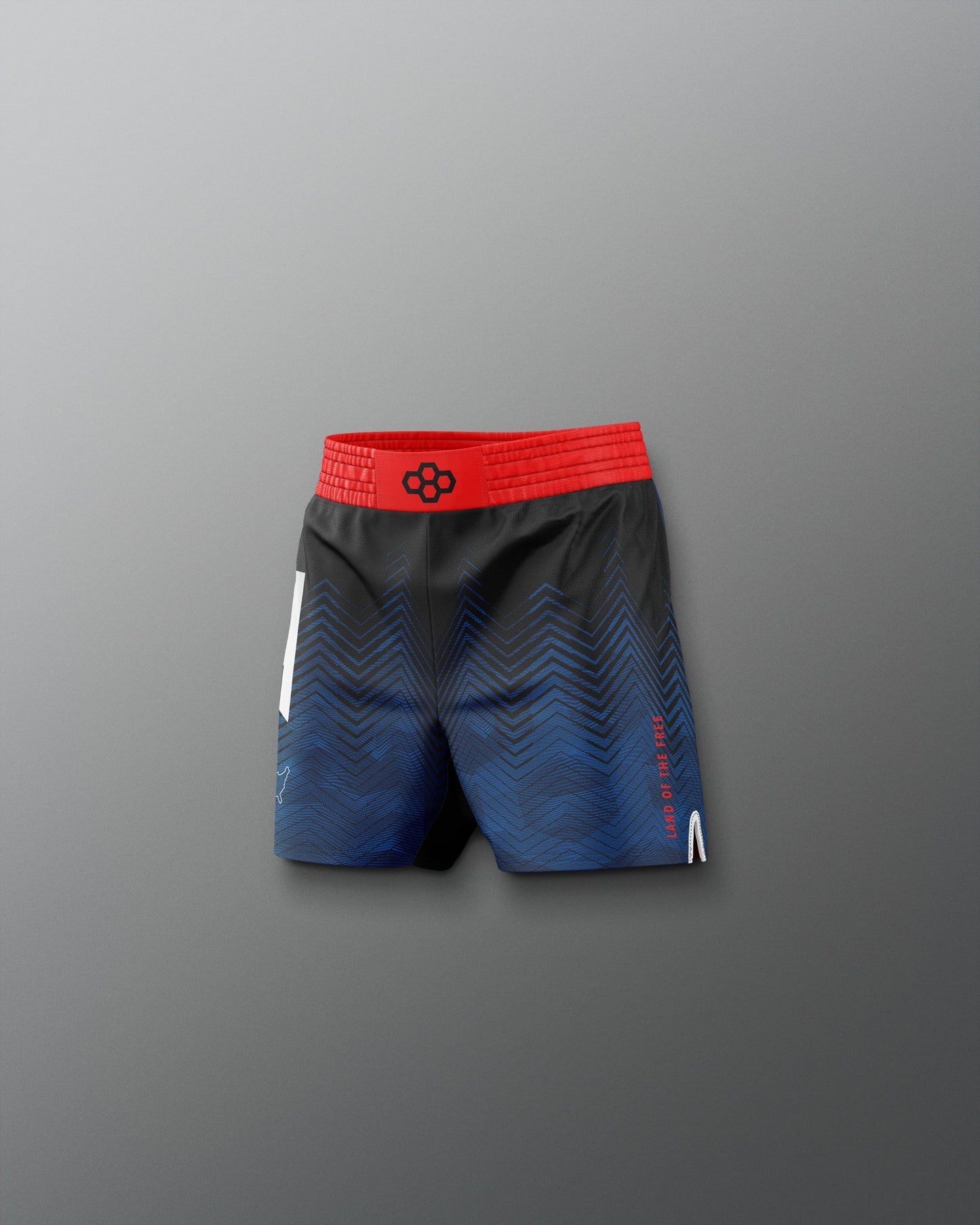 RUDIS USA Wrestling Icon Youth Sublimated Shorts ? Shop Now