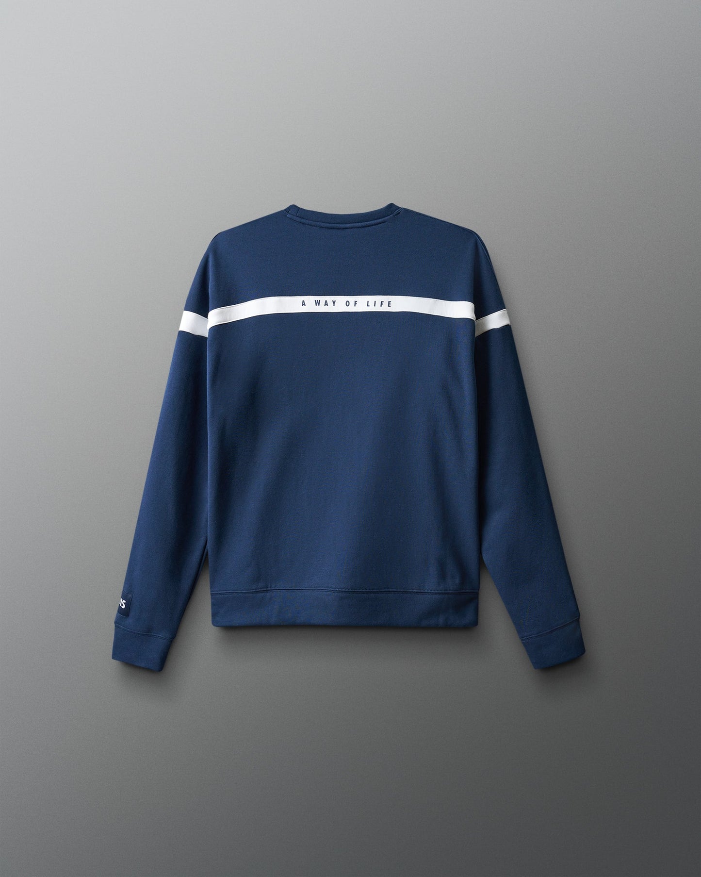 RUDIS RUDIS Youth Colorblock Crewneck - Navy