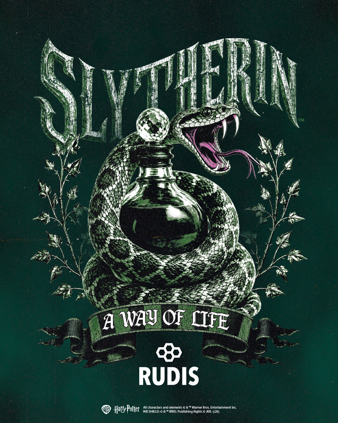 RUDIS Harry Potter Samurai Speed Adult Wrestling Shoes - Slytherin