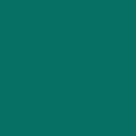 Turquoise,Adult