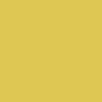 Yellow,Youth