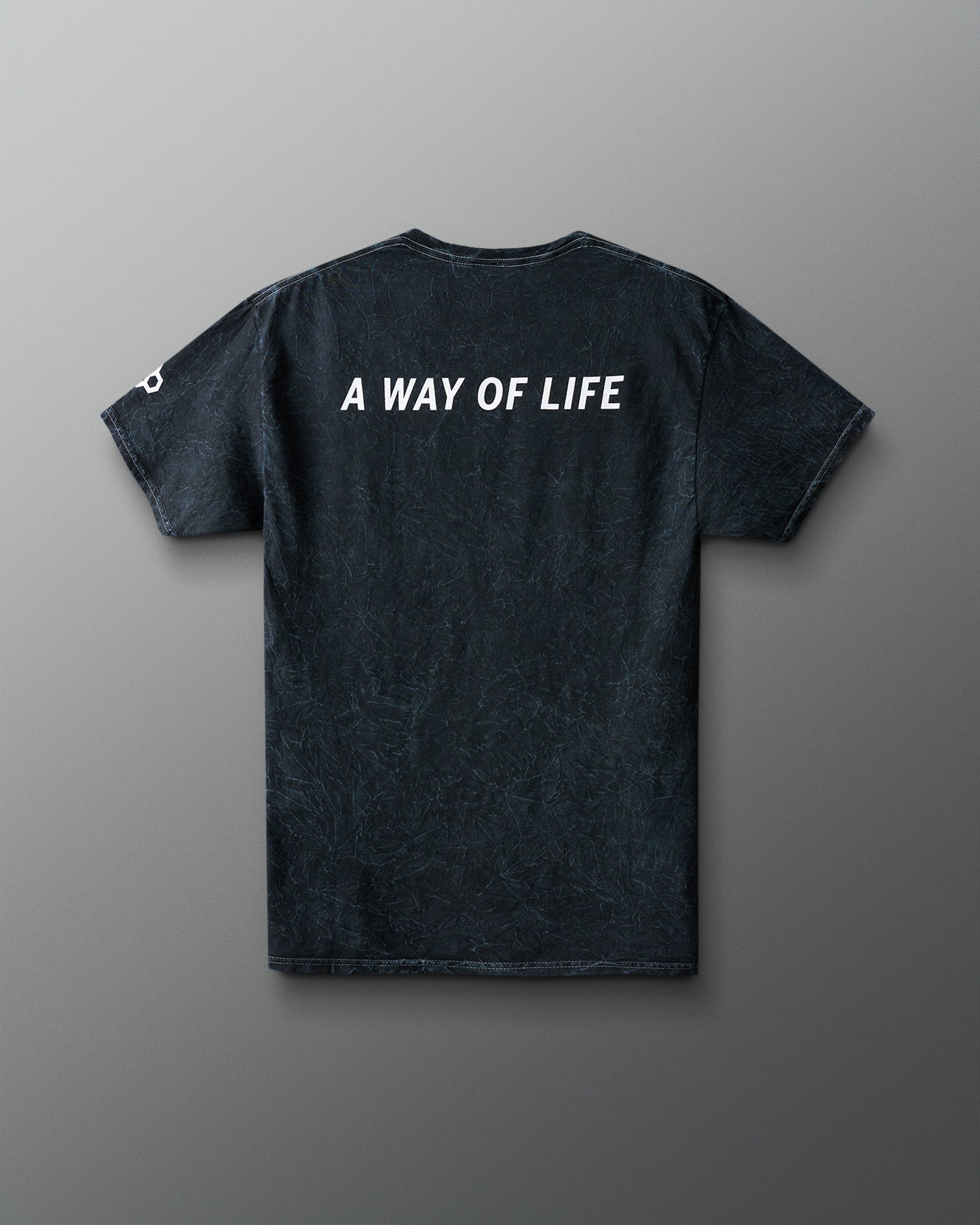 RUDIS Buckeyes Script Acid Wash T-Shirt