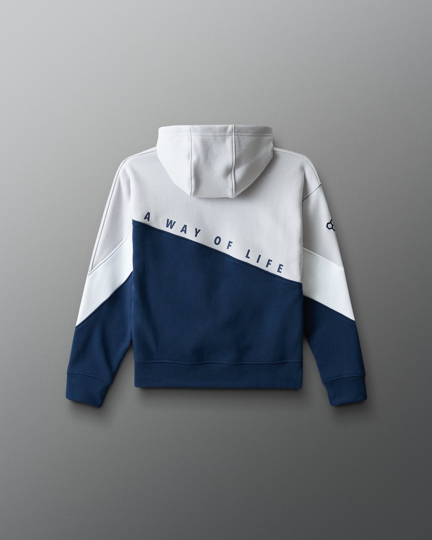 RUDIS Colorblock Youth Wrestling Hoodie – Built for Movement