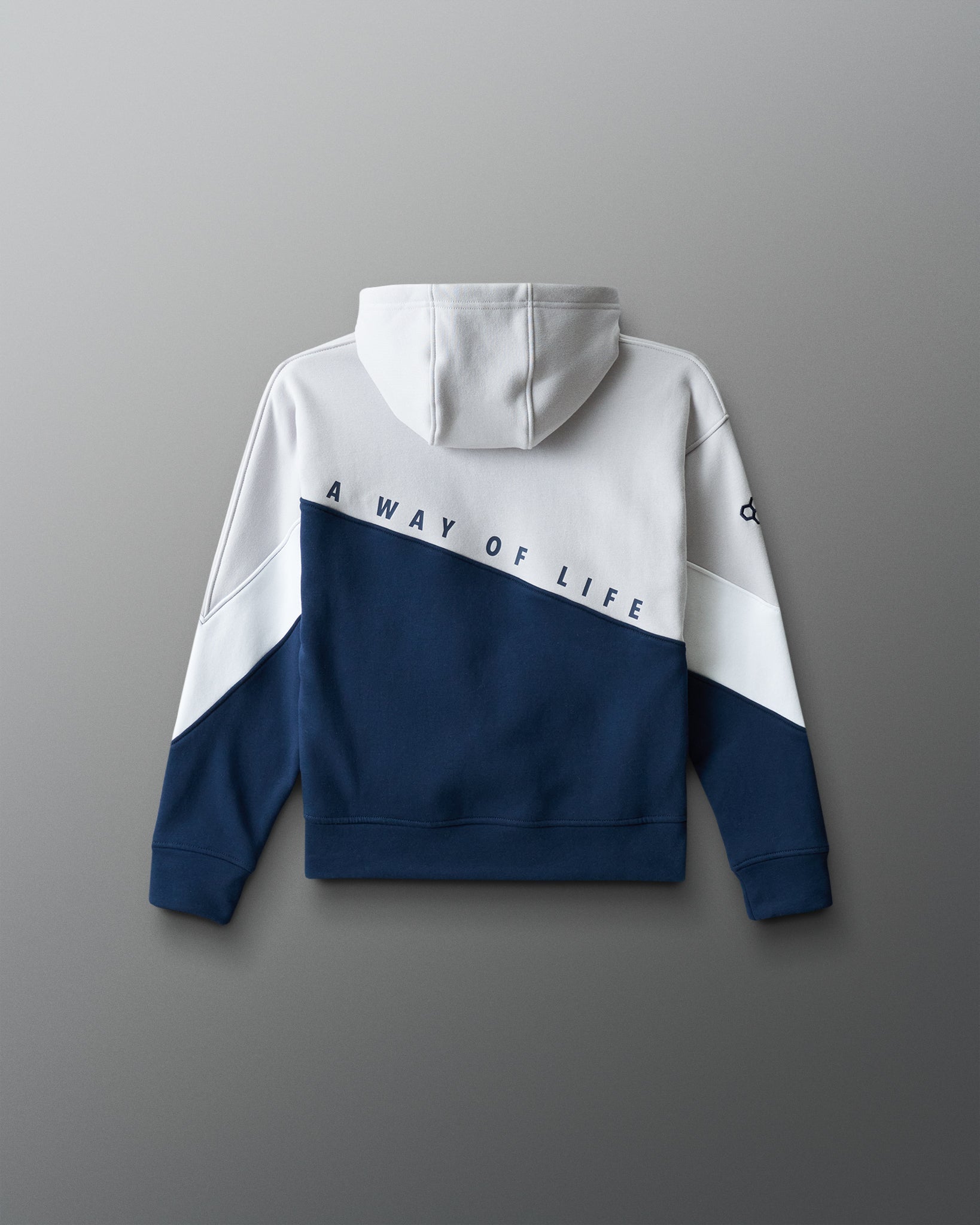 RUDIS Colorblock Youth Wrestling Hoodie – Built for Movement