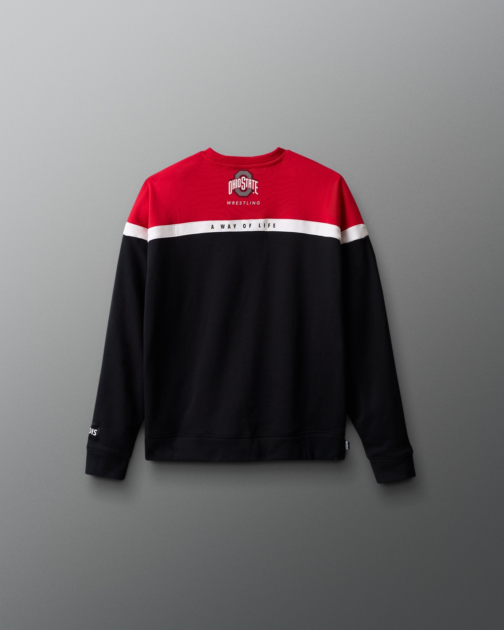 RUDIS Ohio State Youth Colorblock Crewneck