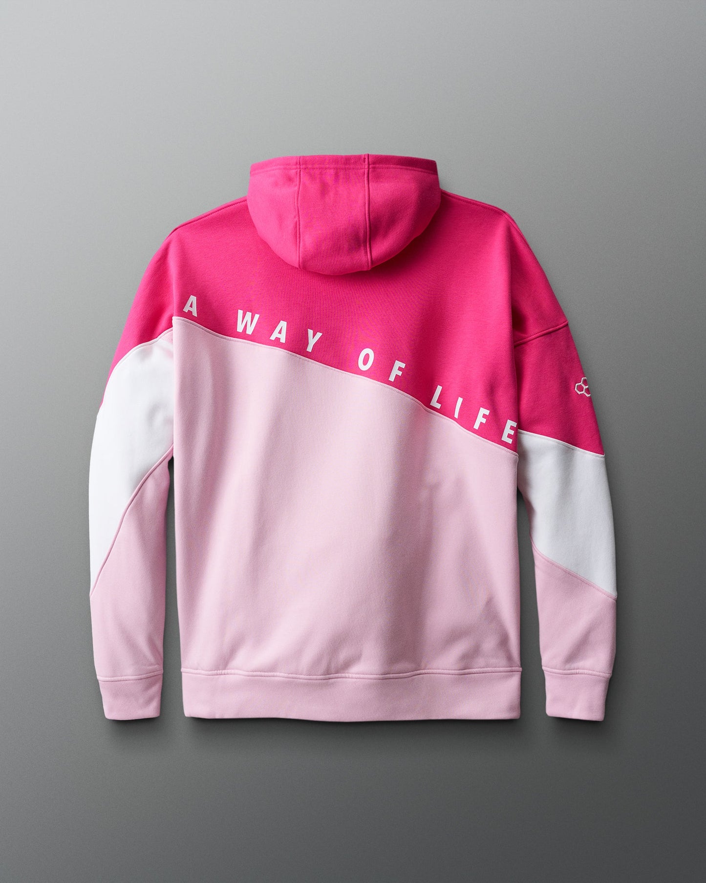 RUDIS Colorblock Wrestling Hoodie – Built for Movement