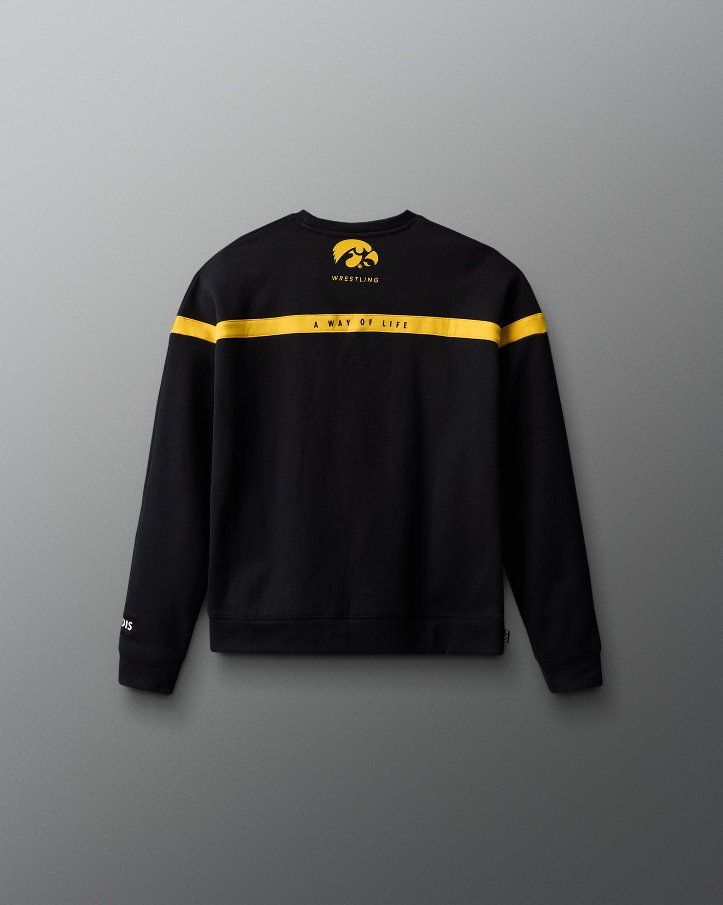 RUDIS Iowa Youth Colorblock Crewneck