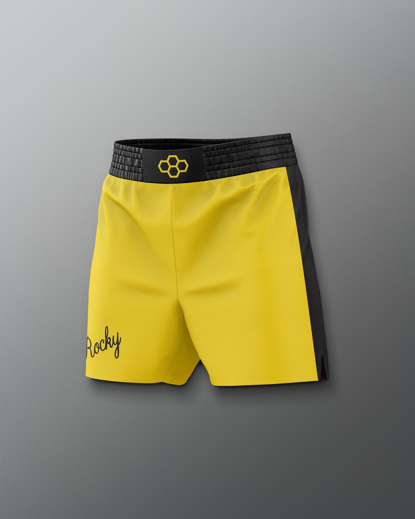 RUDIS ROCKY III Rocky Elite Wrestling Shorts