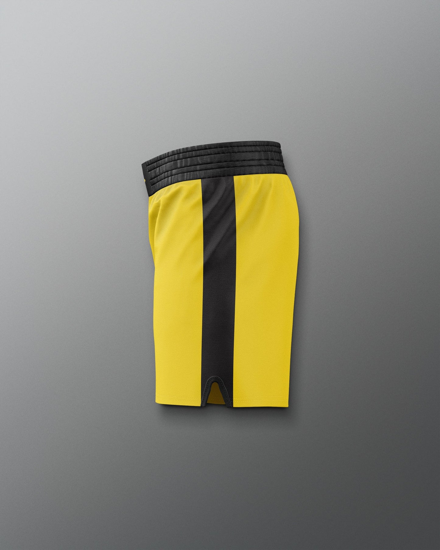 RUDIS ROCKY III Rocky Elite Wrestling Shorts
