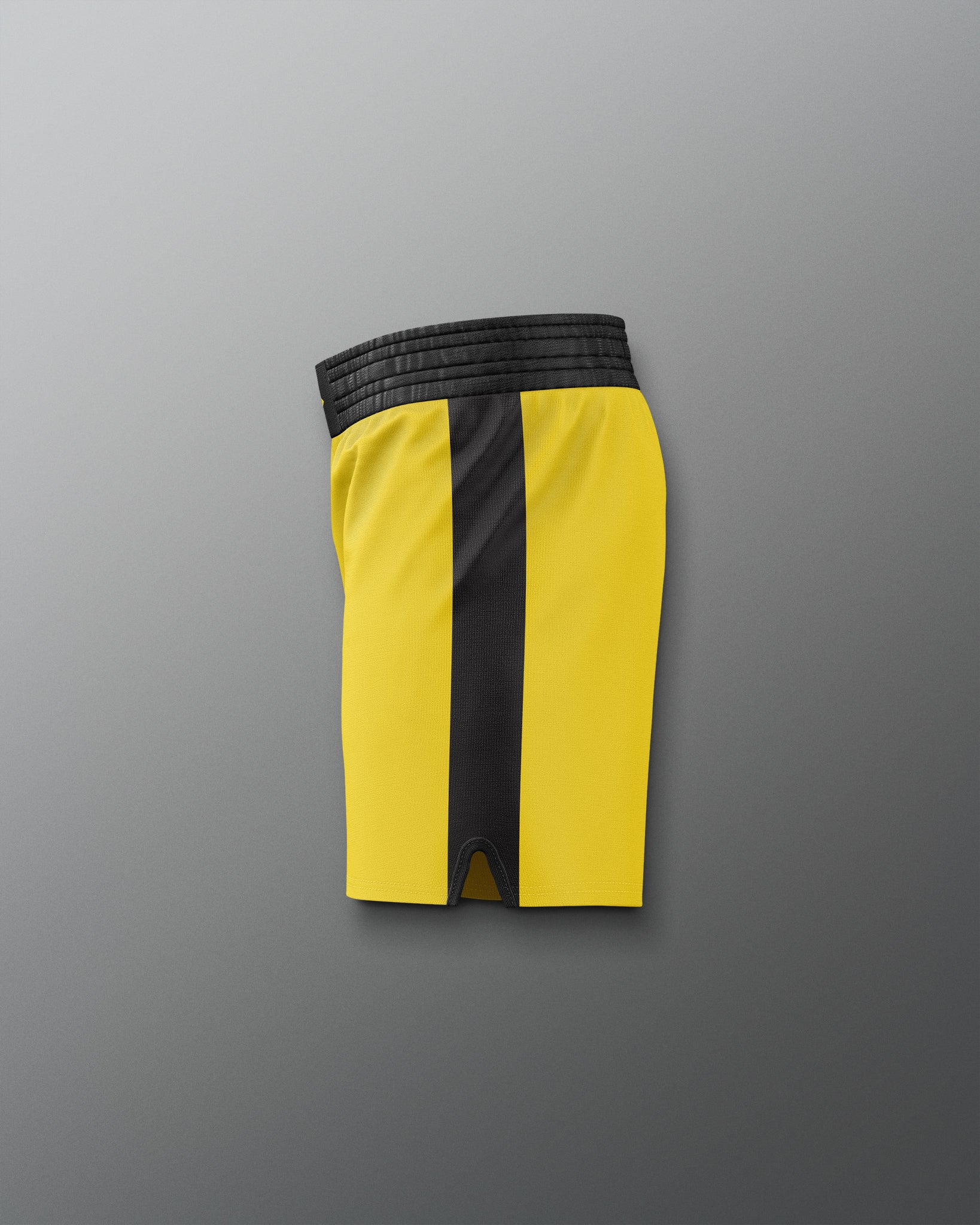 RUDIS ROCKY III Rocky Elite Wrestling Shorts