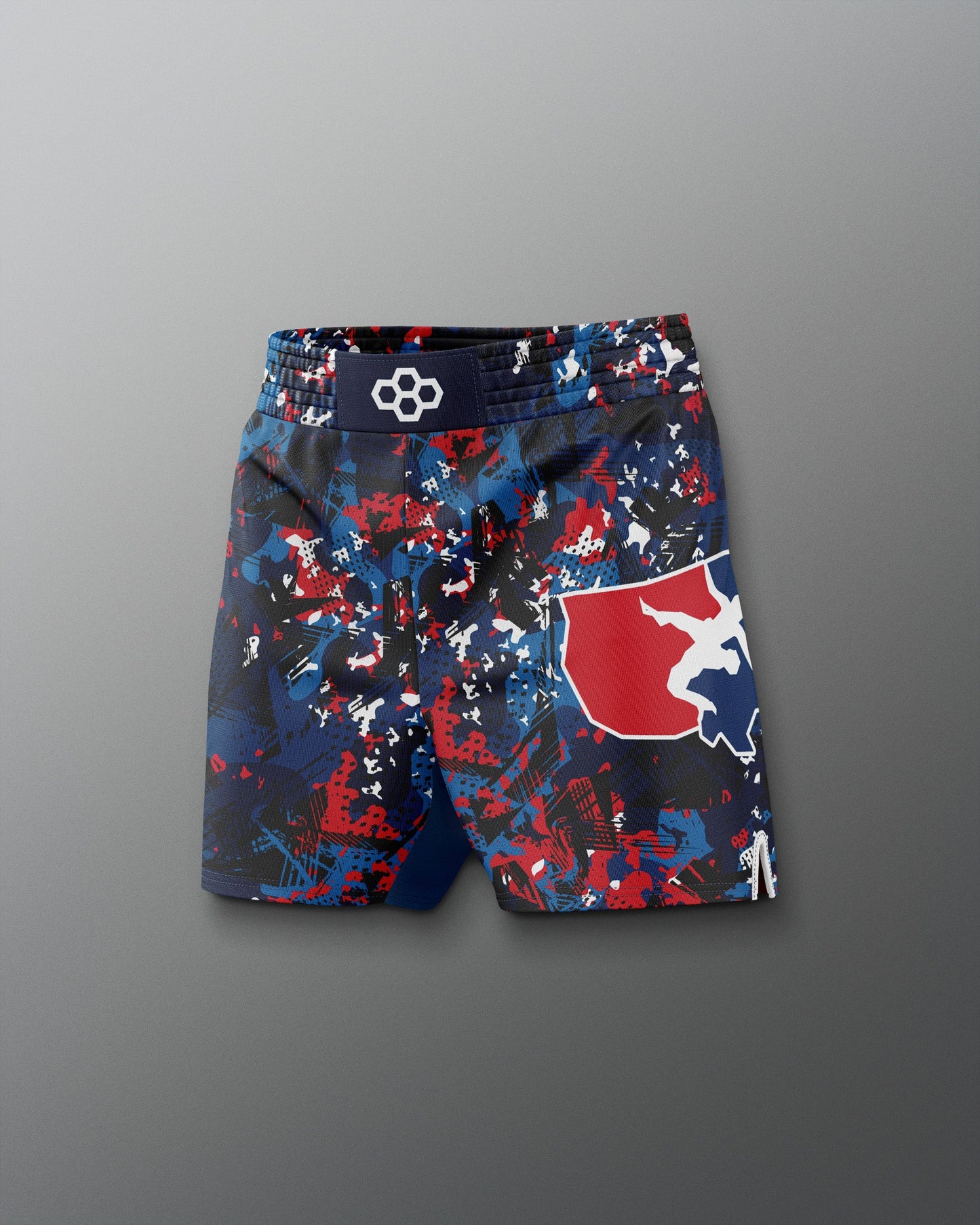 RUDIS Men's USA Wrestling Scatter Icon Sublimated Shorts