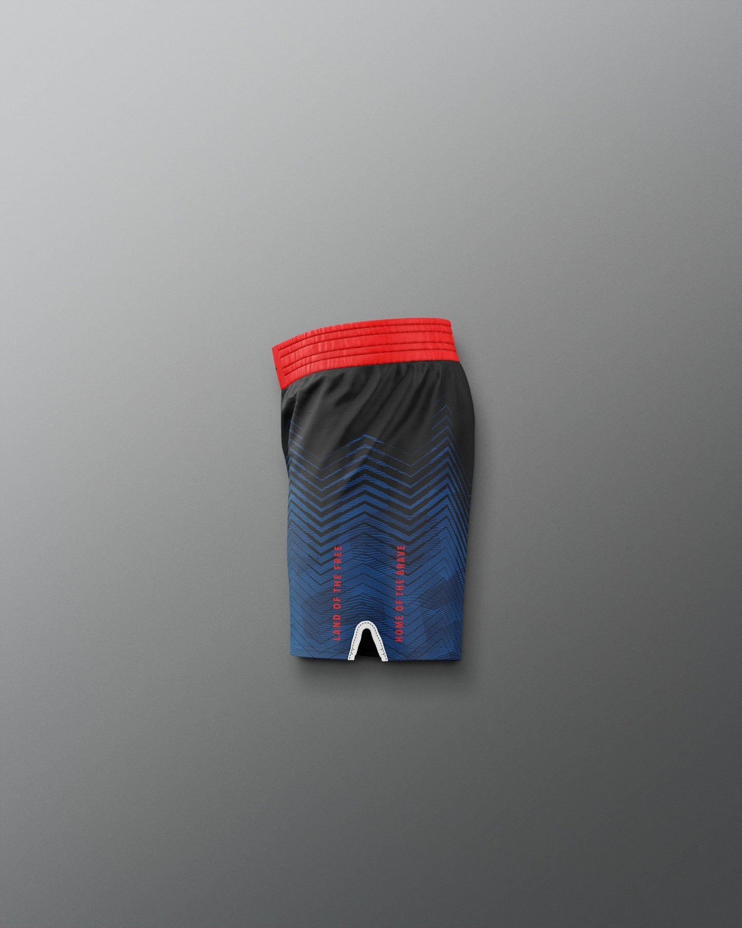RUDIS USA Wrestling Icon Youth Sublimated Shorts ? Shop Now