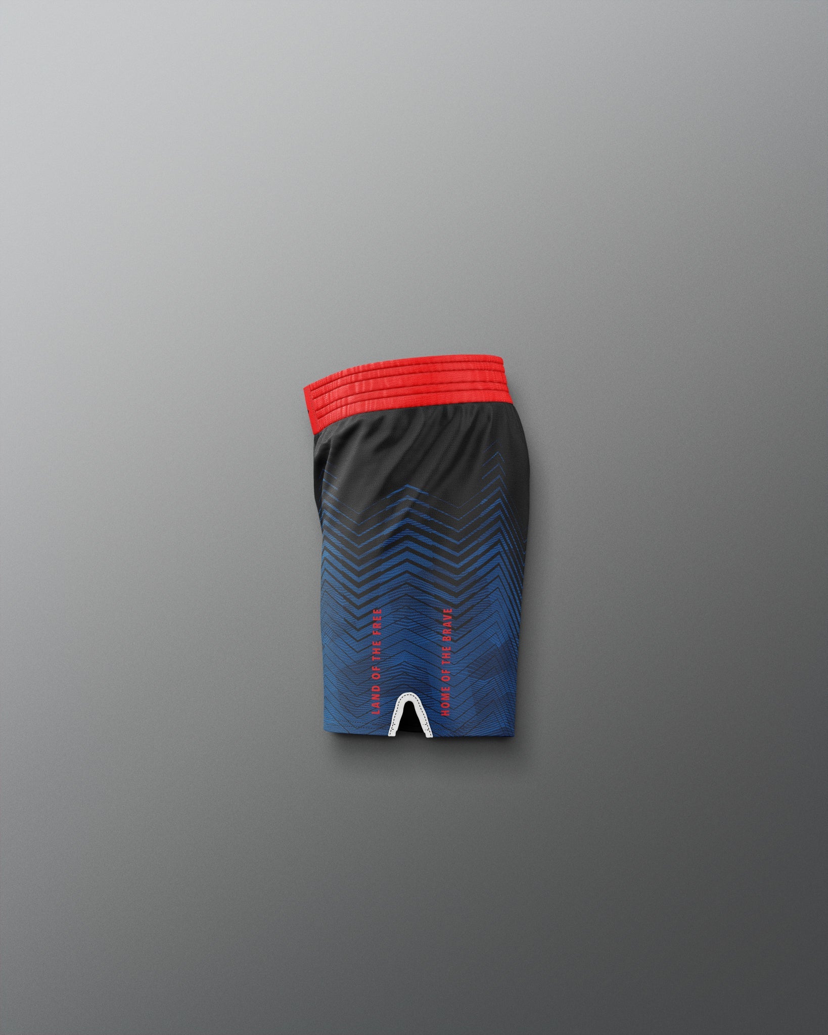 RUDIS USA Wrestling Icon Youth Sublimated Shorts ? Shop Now