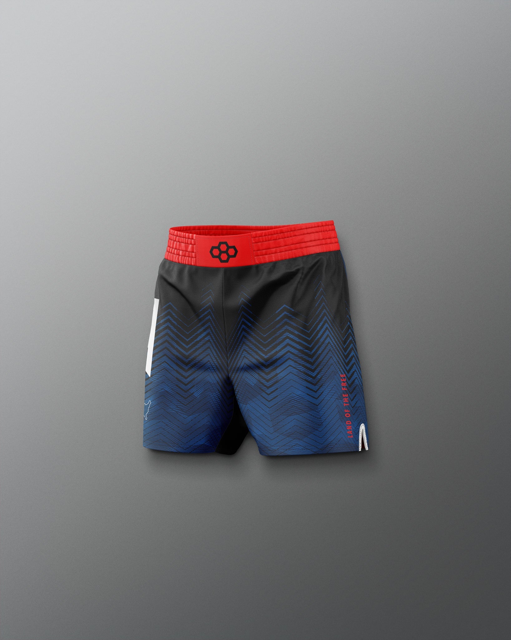 RUDIS USA Wrestling Icon Youth Sublimated Shorts ? Shop Now