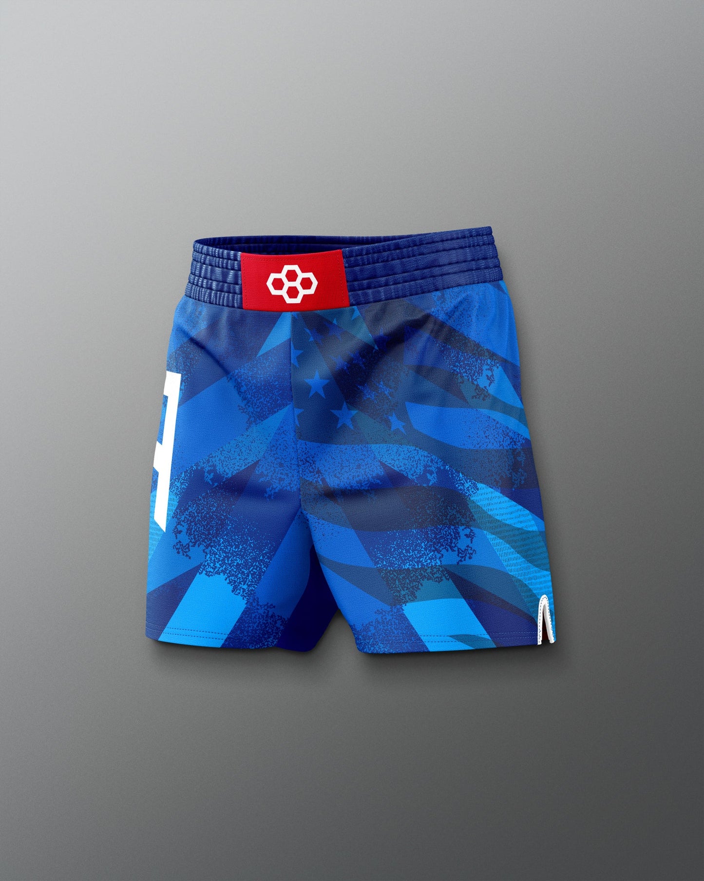RUDIS USA Wrestling Grit Icon Sublimated Shorts - Official USA Wrestling Apparel