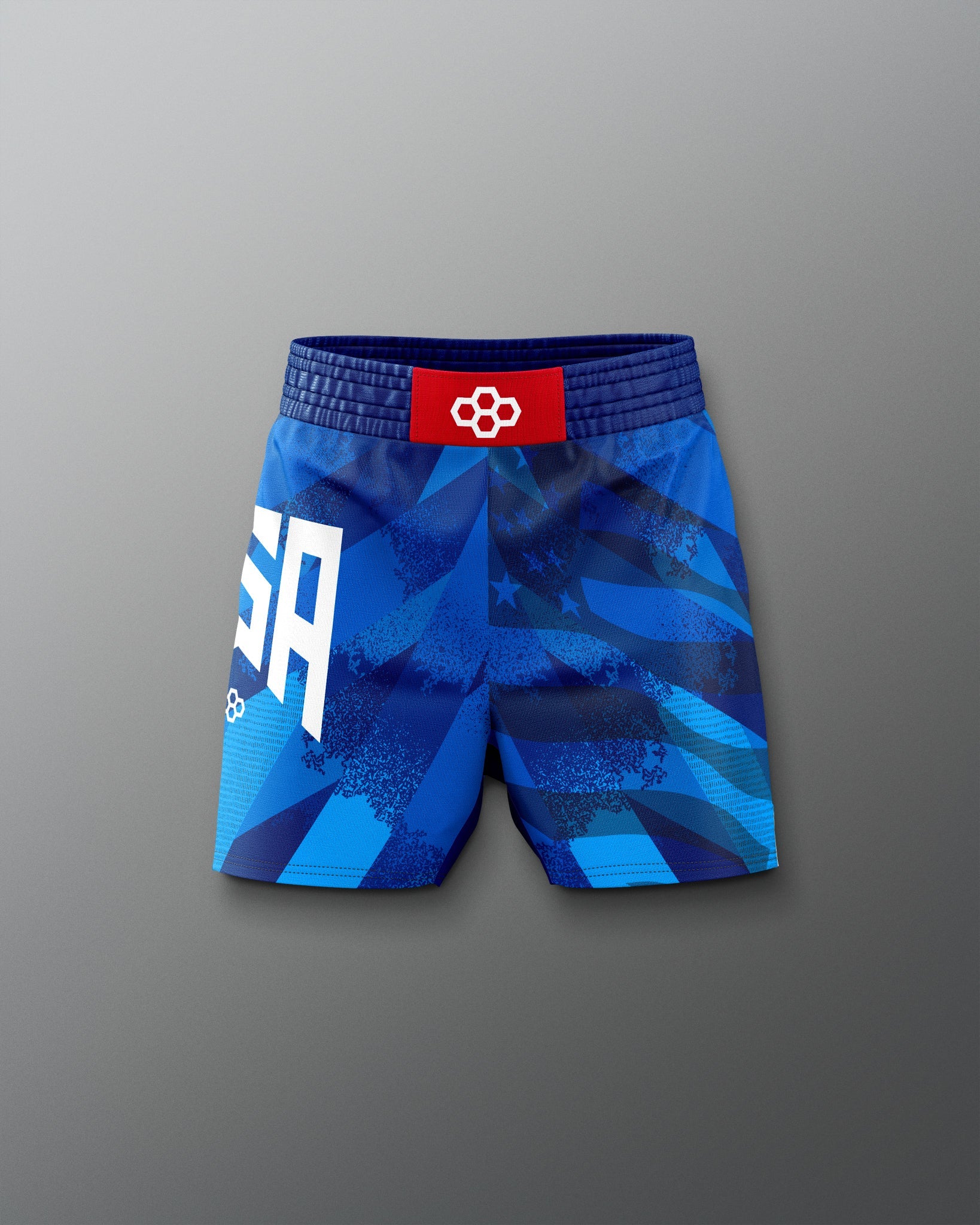RUDIS USA Wrestling Grit Icon Sublimated Shorts - Official USA Wrestling Apparel