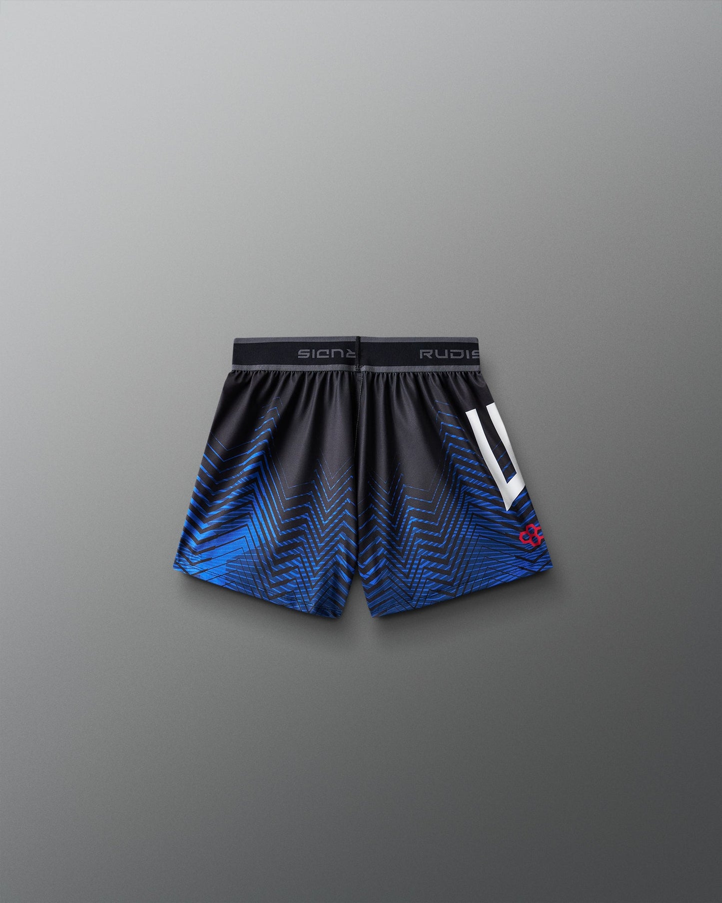 RUDIS USA Wrestling Girl's Sublimated Shorts - Unleash Your Spirit