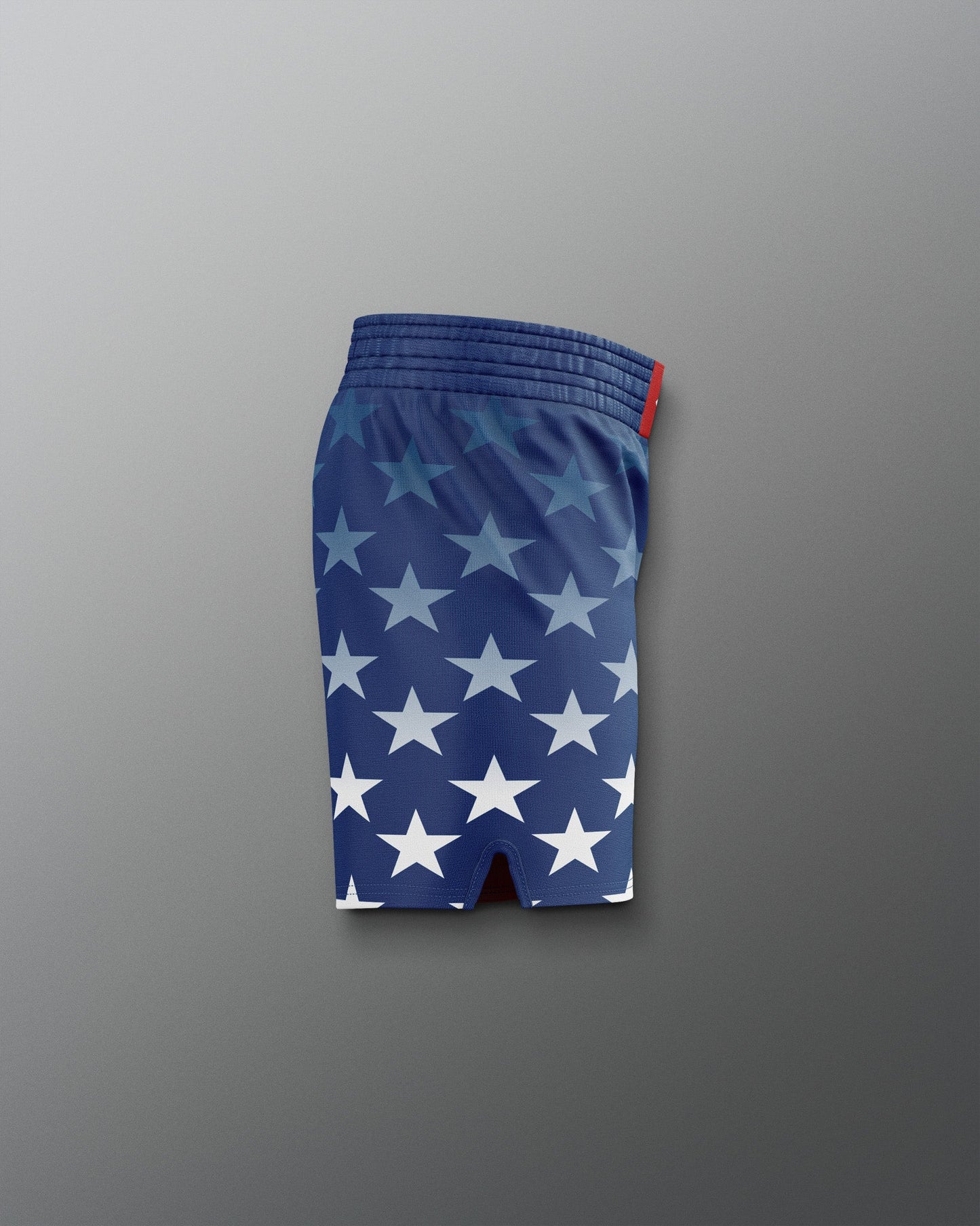 RUDIS USA Wrestling Flag Sublimated Shorts