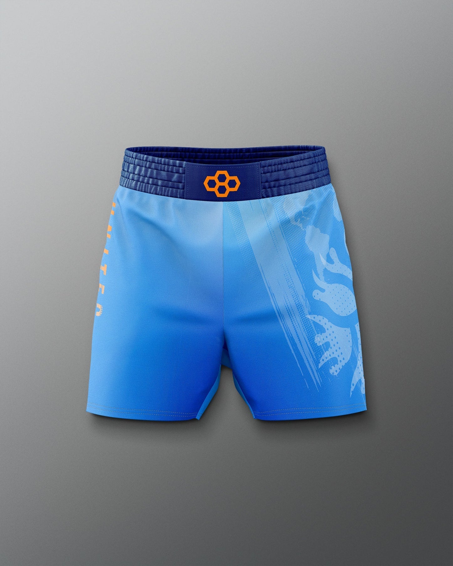 RUDIS UWW Gradient Elite Shorts