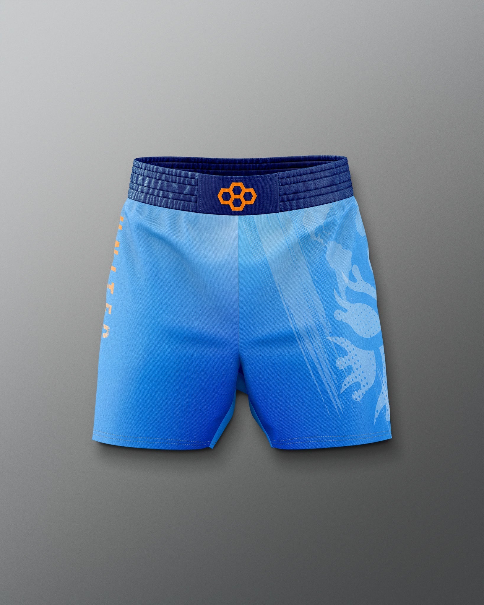 RUDIS UWW Gradient Elite Shorts