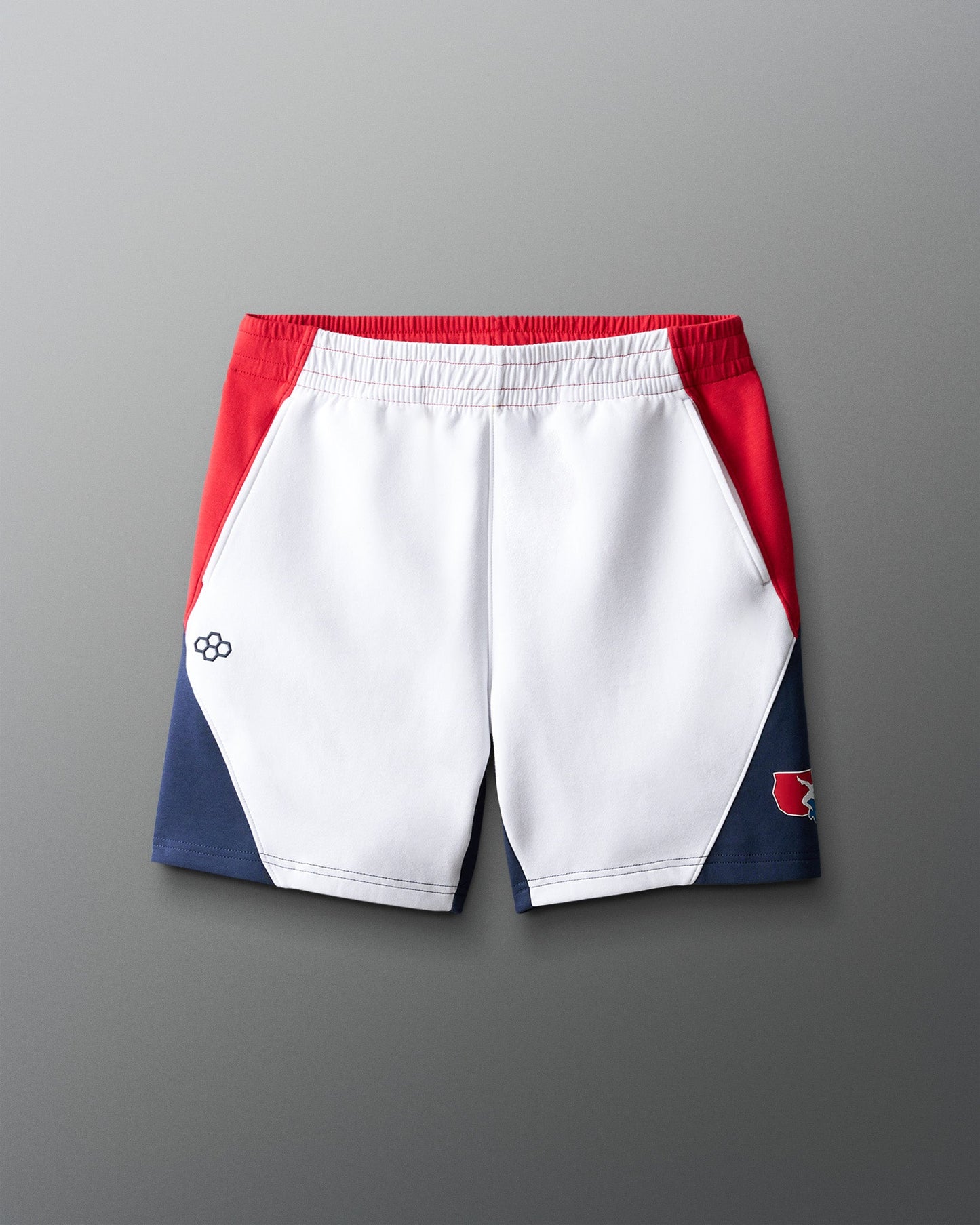 RUDIS Men's USA Wrestling Colorblock Shorts - Official Gear
