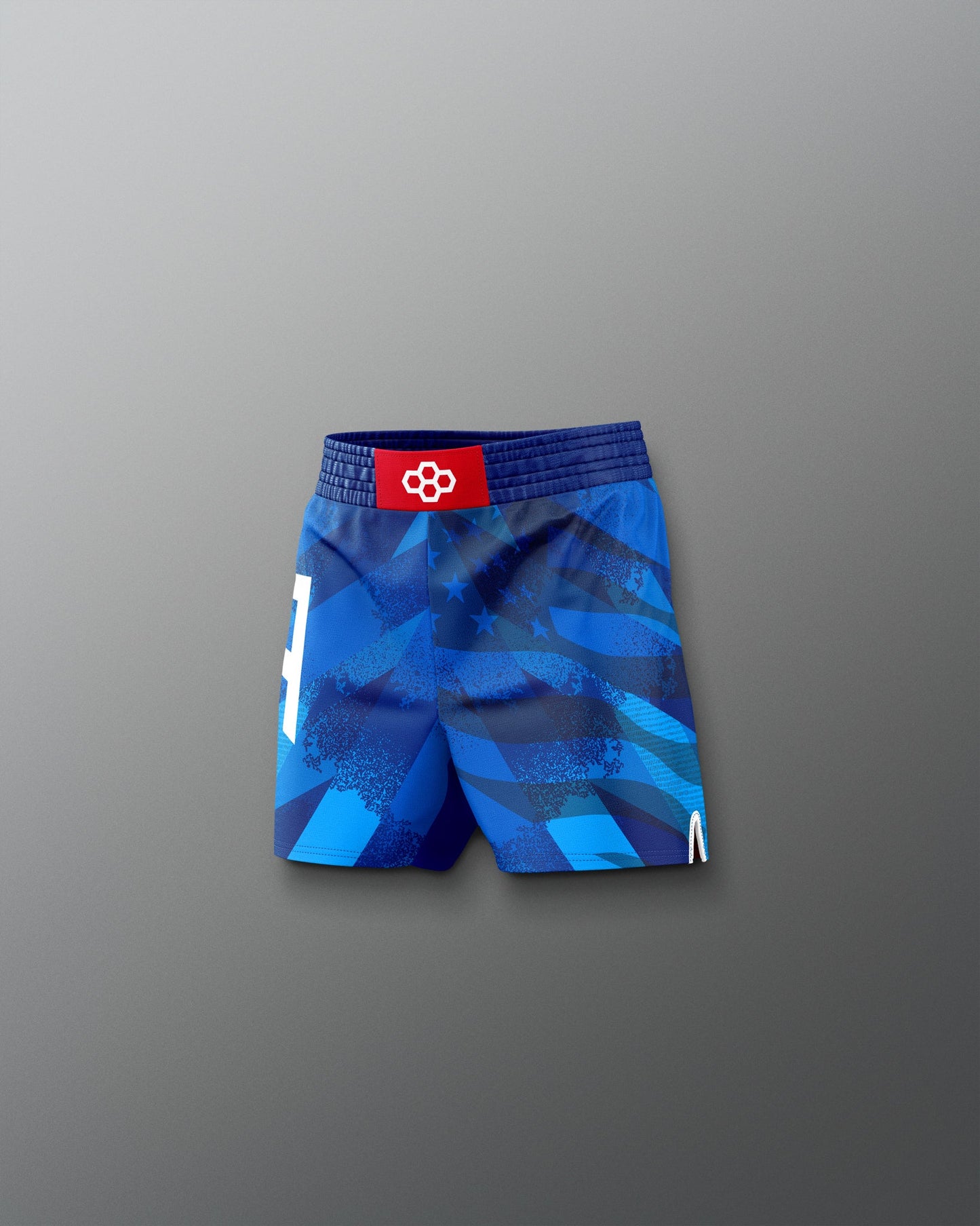 RUDIS USA Wrestling Grit Icon Youth Sublimated Shorts
