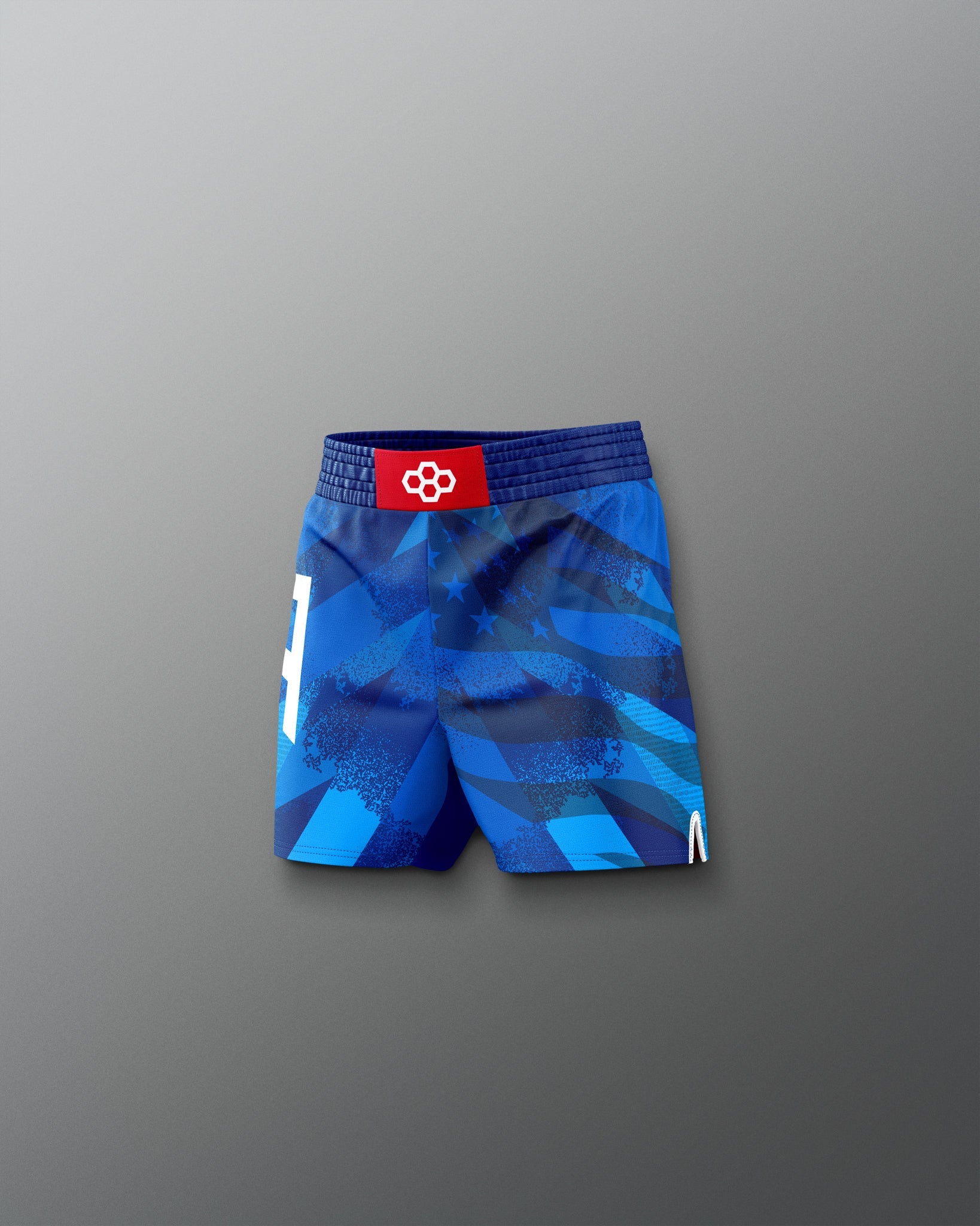RUDIS USA Wrestling Grit Icon Youth Sublimated Shorts