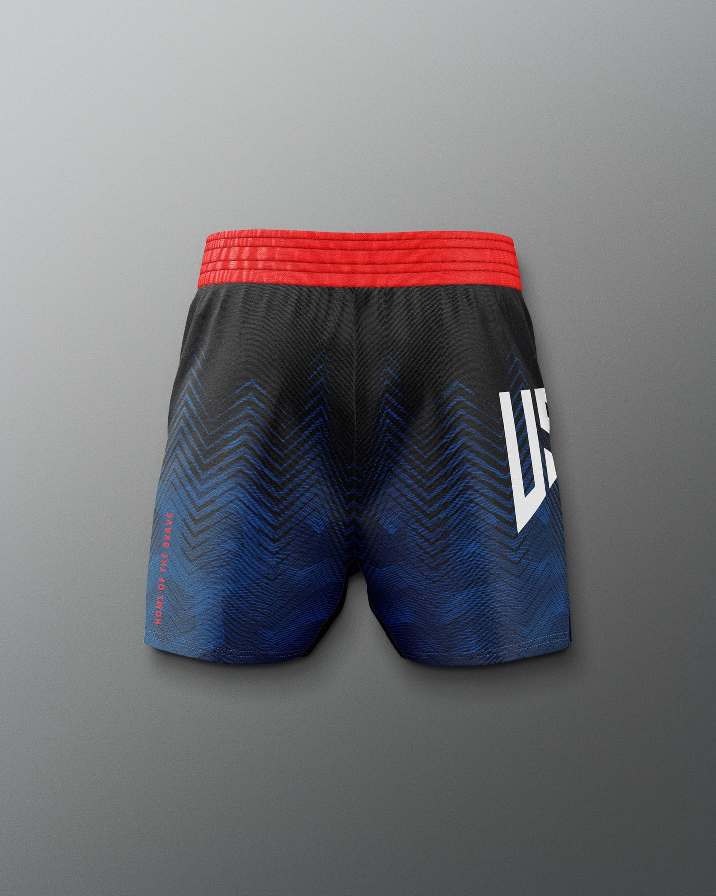 RUDIS Men's USA Wrestling Icon Sublimated Shorts - Dominate the Mat