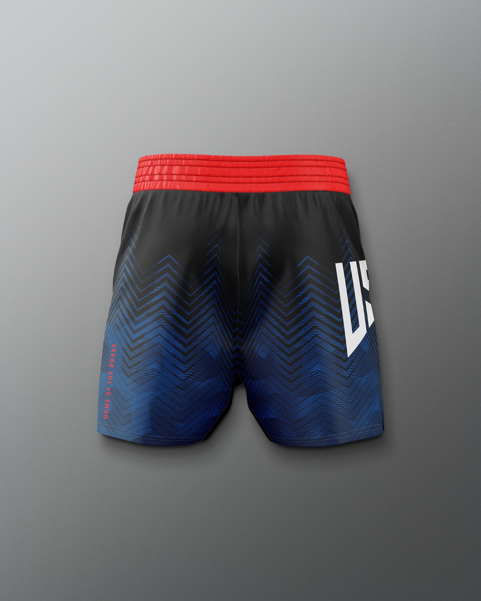 RUDIS Men's USA Wrestling Icon Sublimated Shorts - Dominate the Mat