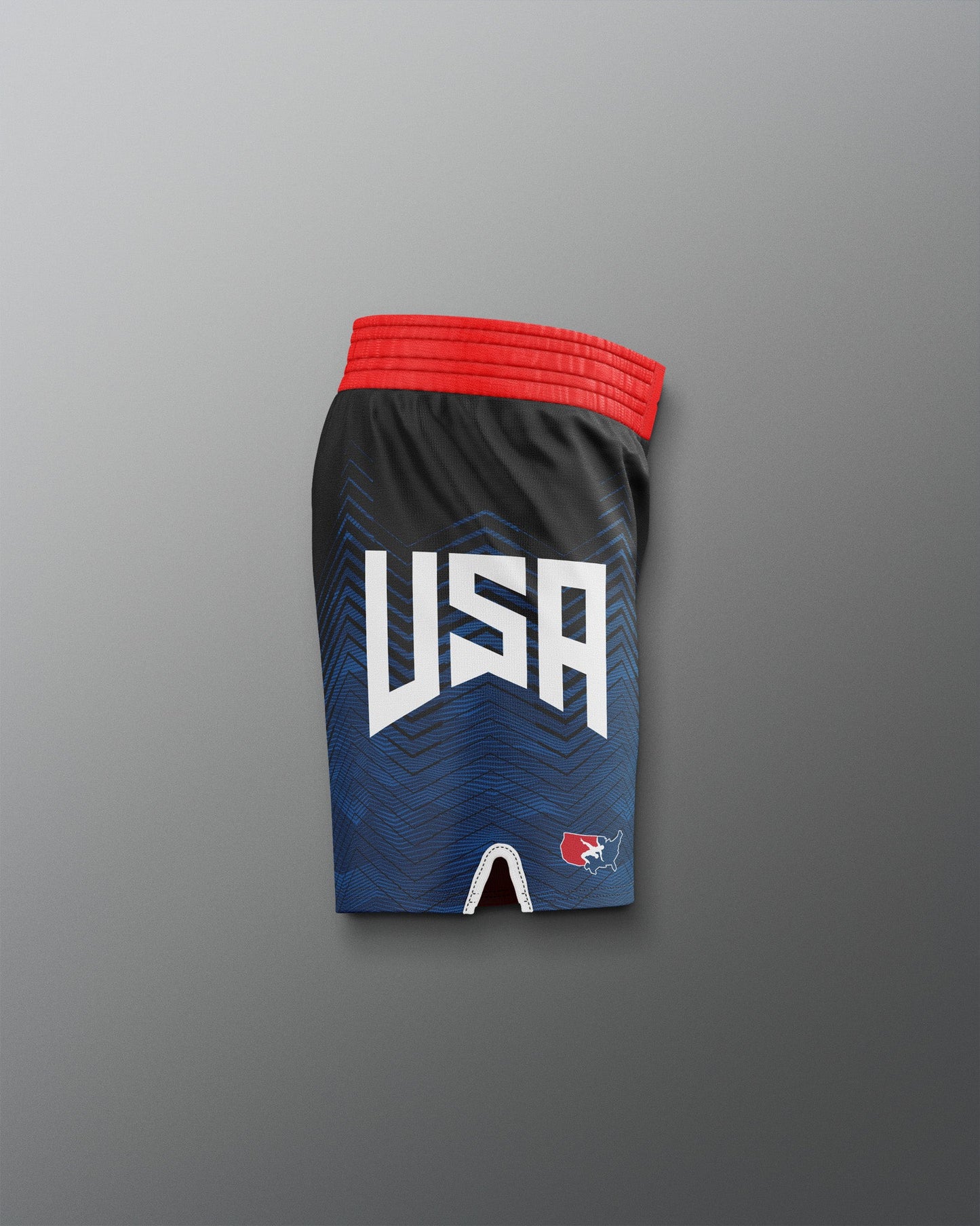 RUDIS Men's USA Wrestling Icon Sublimated Shorts - Dominate the Mat