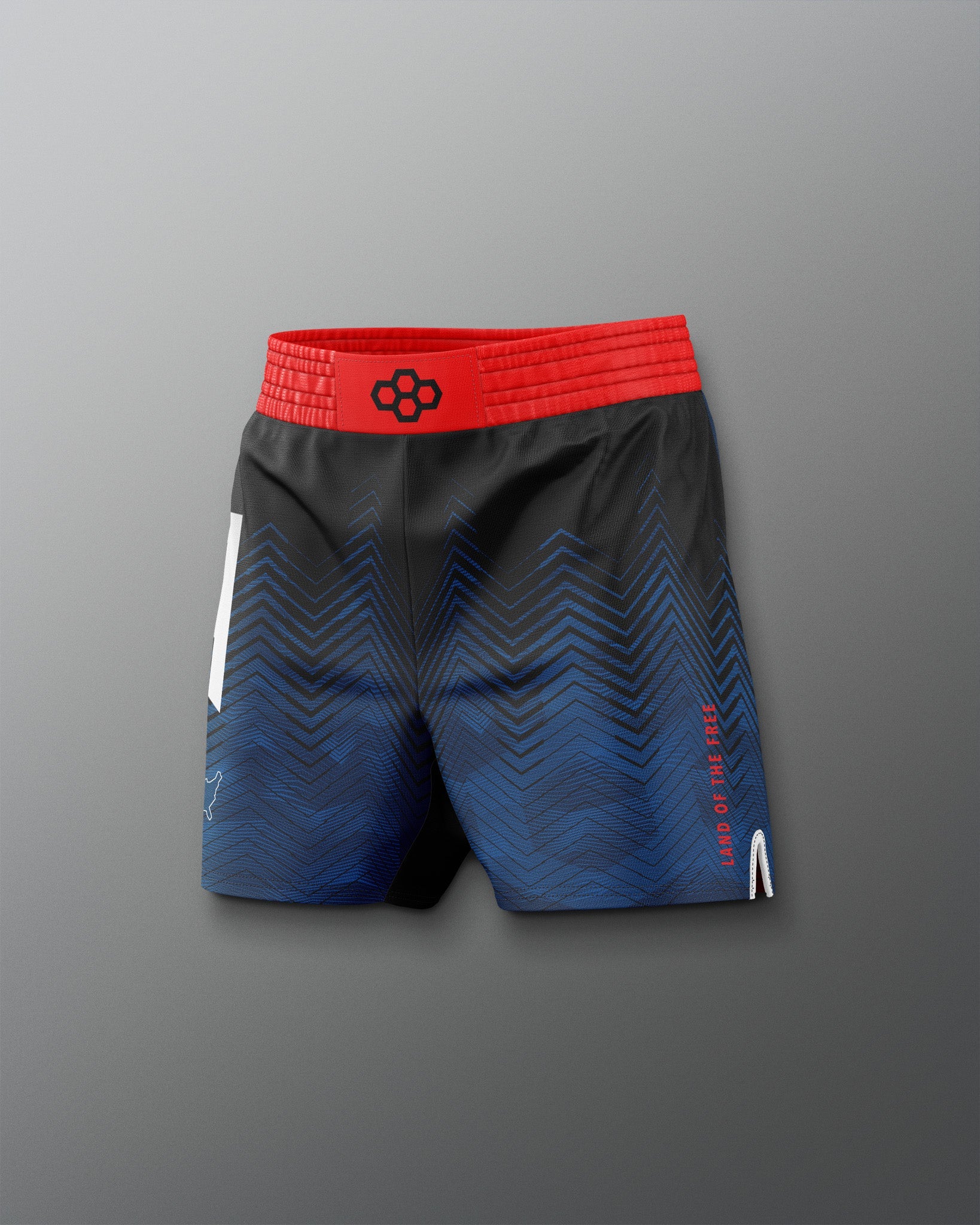 RUDIS Men's USA Wrestling Icon Sublimated Shorts - Dominate the Mat