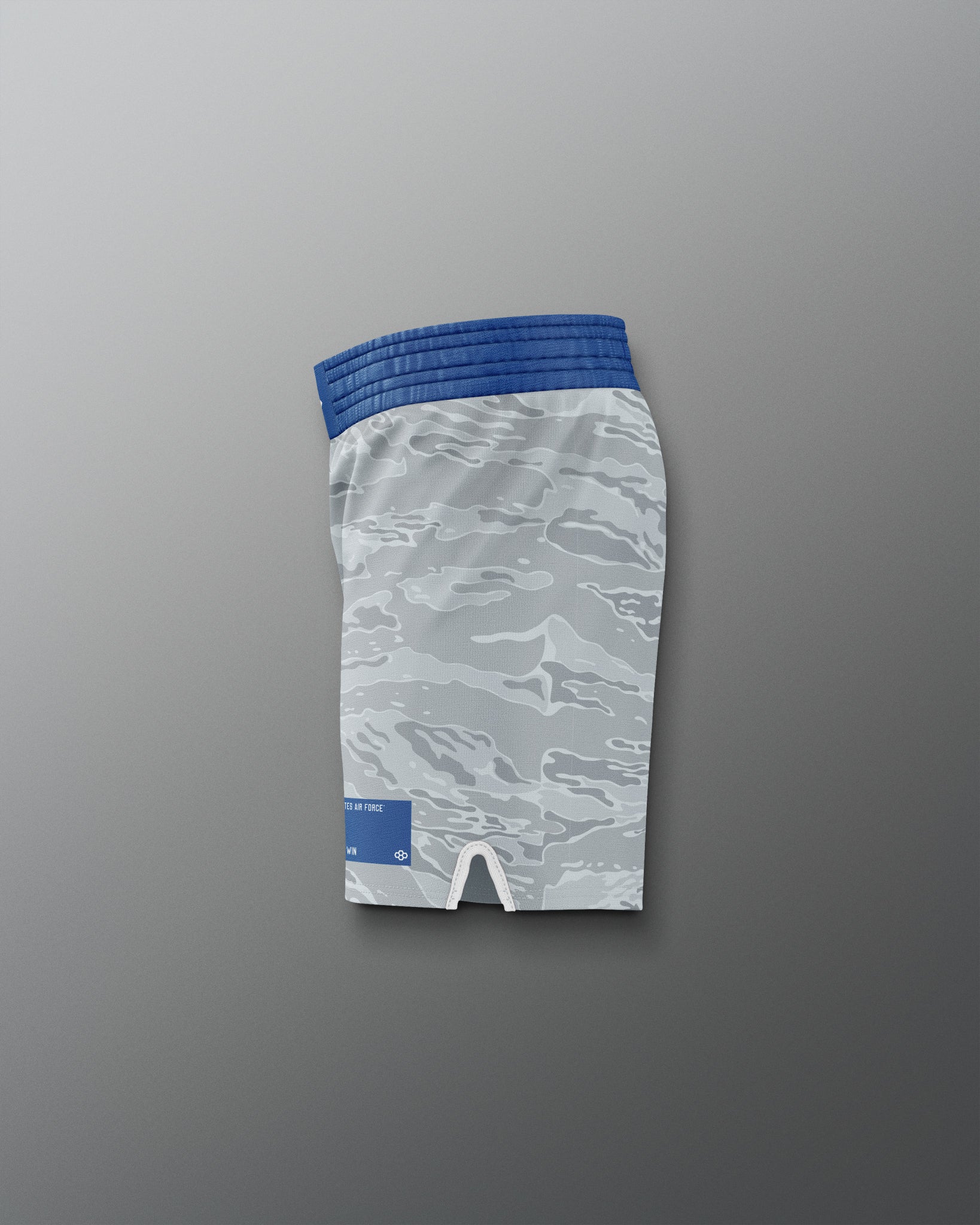 RUDIS USAF Sublimated Elite Shorts