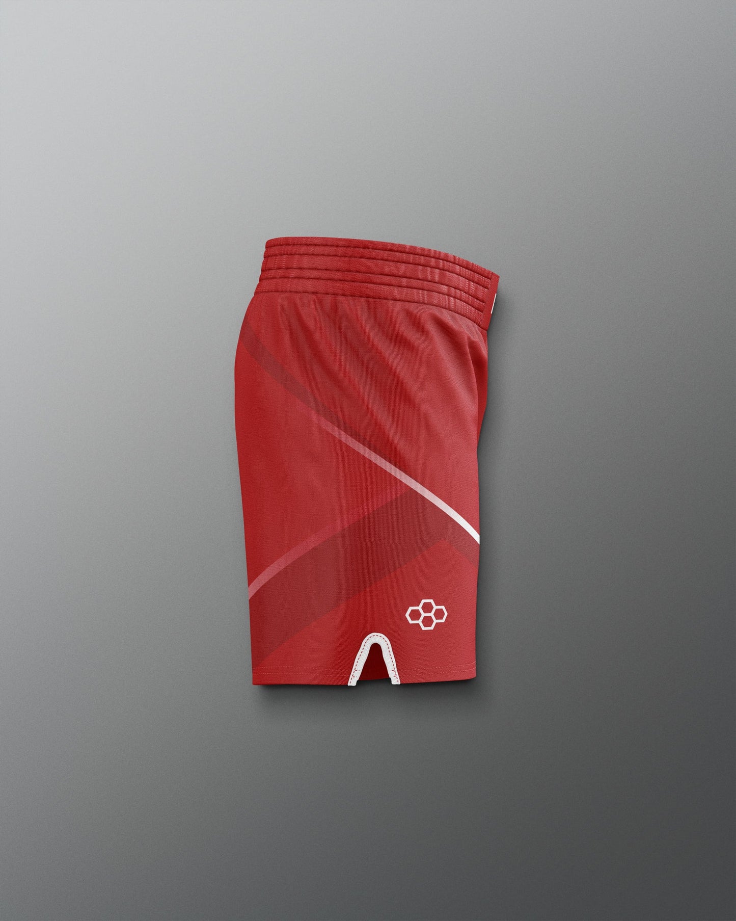 RUDIS Men's Ohio State Sublimated Shorts - Conquer the Mat