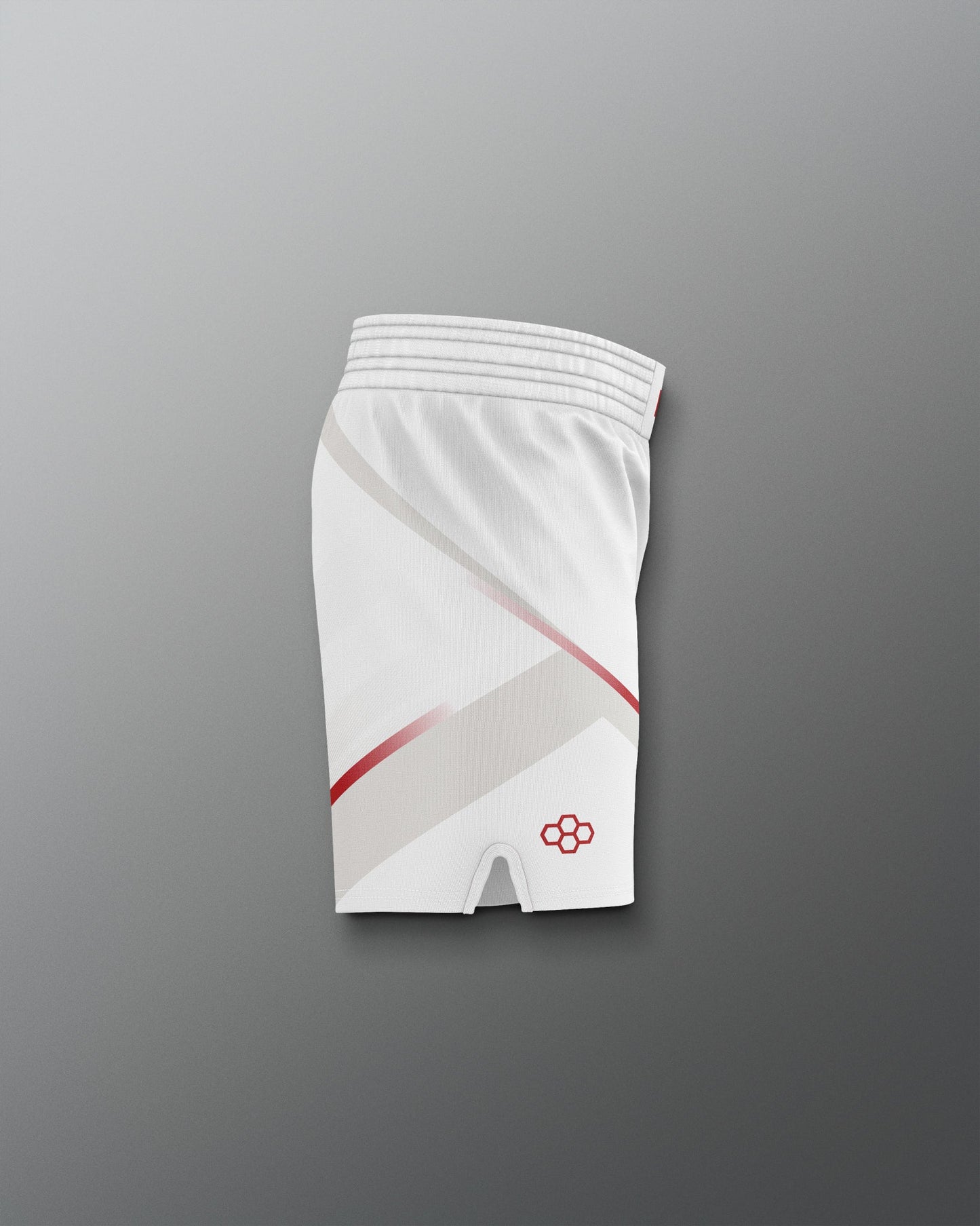 RUDIS Men's Ohio State Sublimated Shorts - Conquer the Mat