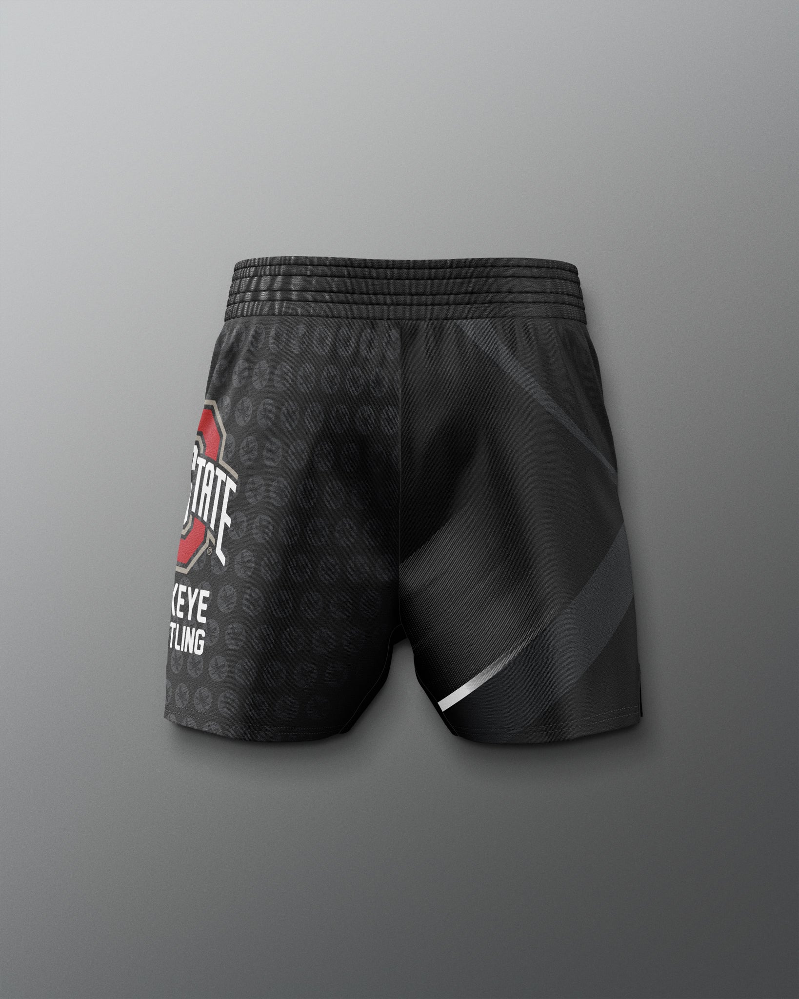 RUDIS Men's Ohio State Sublimated Shorts - Conquer the Mat
