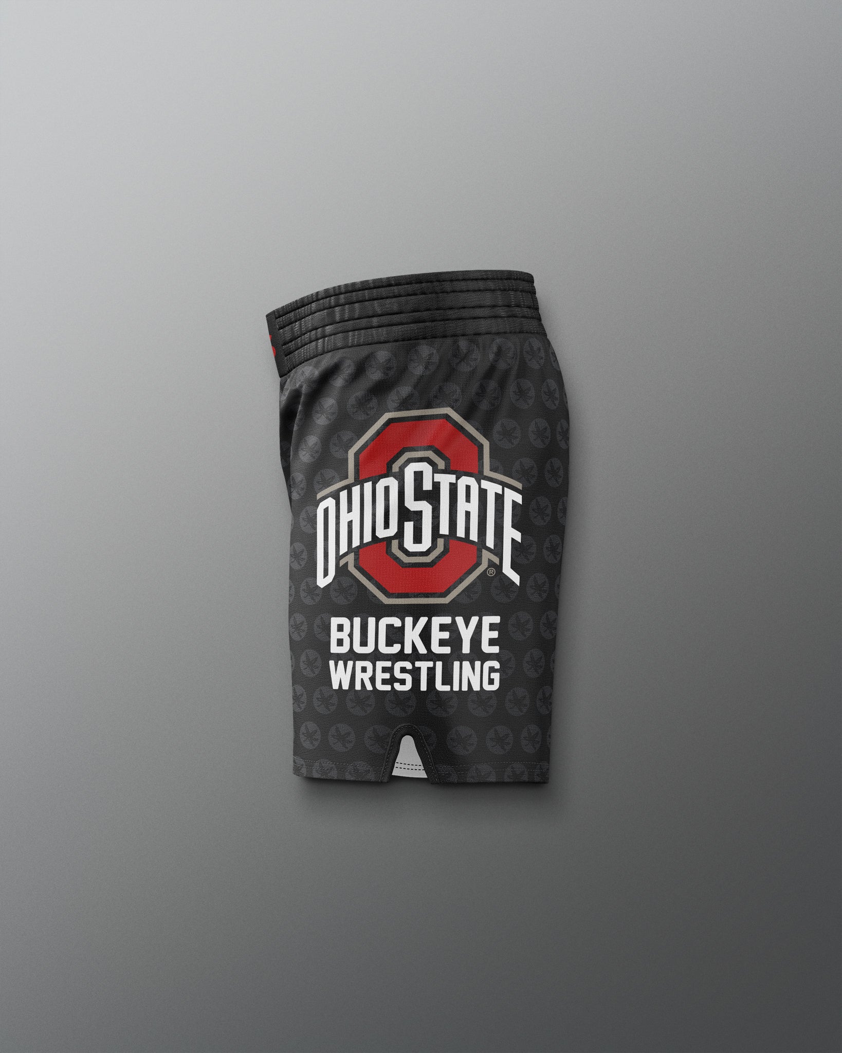 RUDIS Men's Ohio State Sublimated Shorts - Conquer the Mat