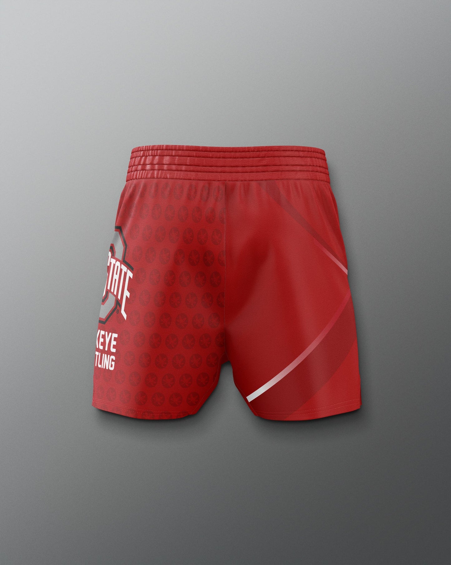 RUDIS Men's Ohio State Sublimated Shorts - Conquer the Mat