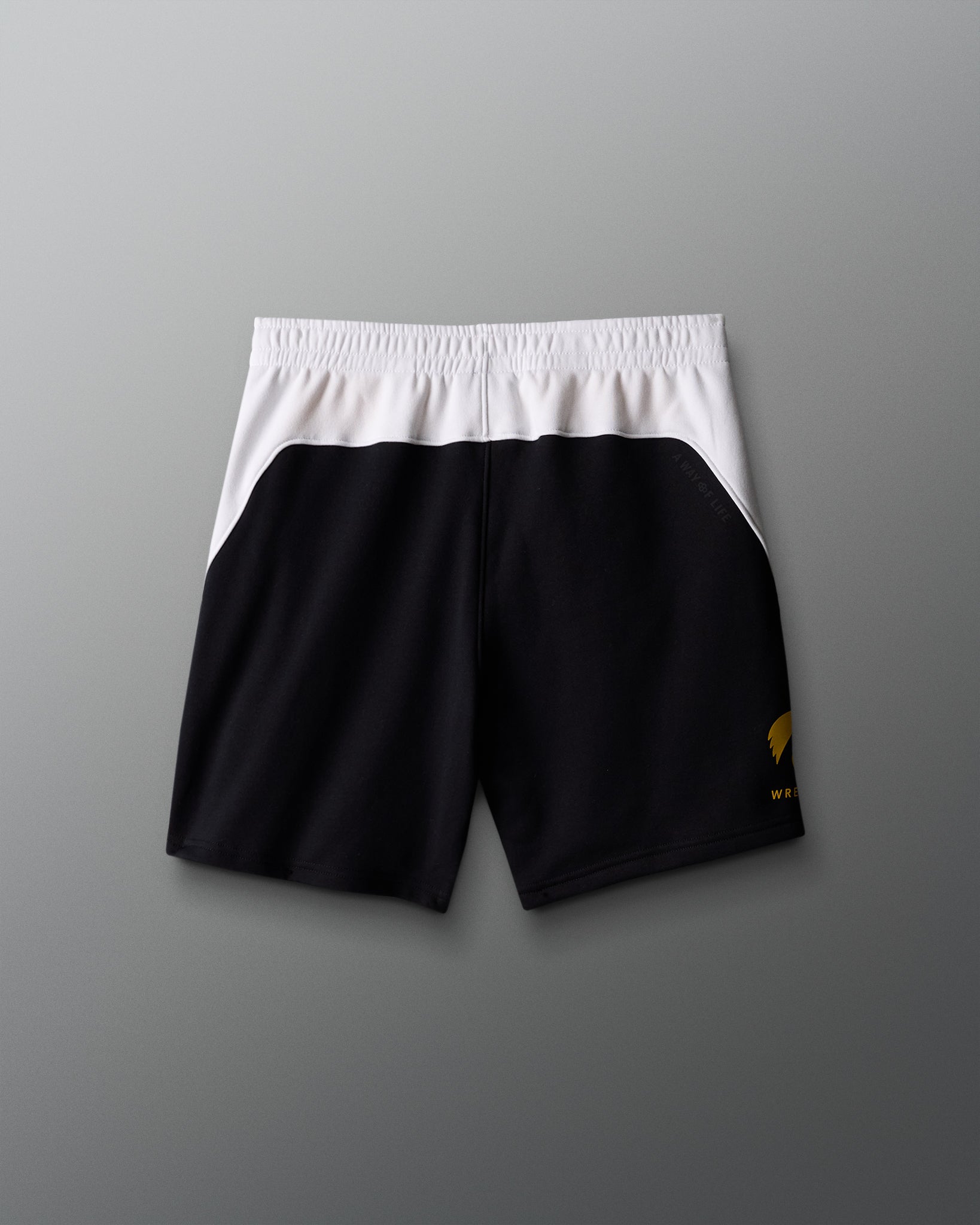 RUDIS Iowa Colorblock 5" Shorts