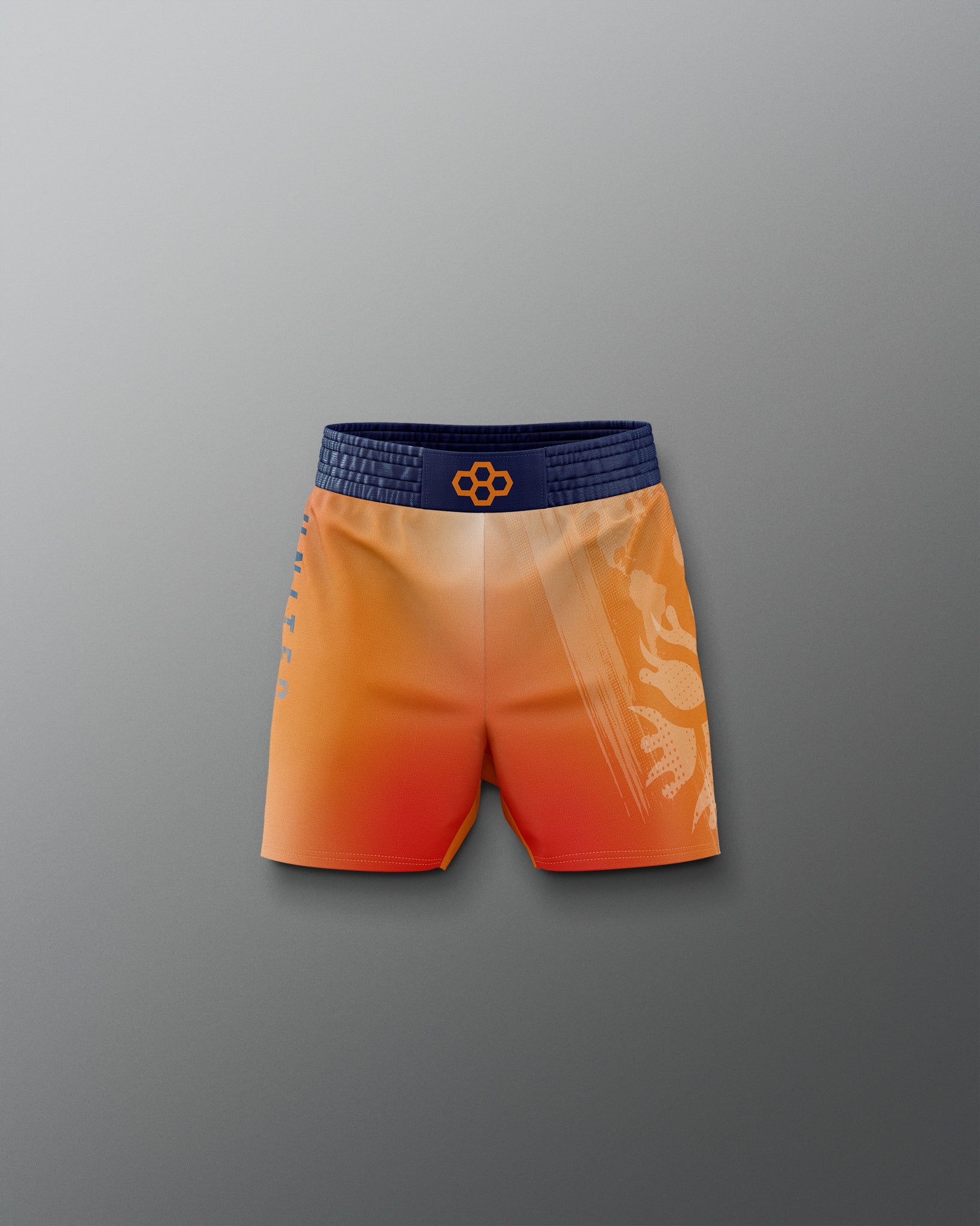 RUDIS UWW Gradient Boy's Elite Shorts - Wrestling Shorts