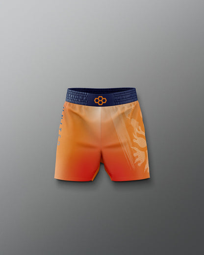 RUDIS UWW Gradient Boy's Elite Shorts - Wrestling Shorts