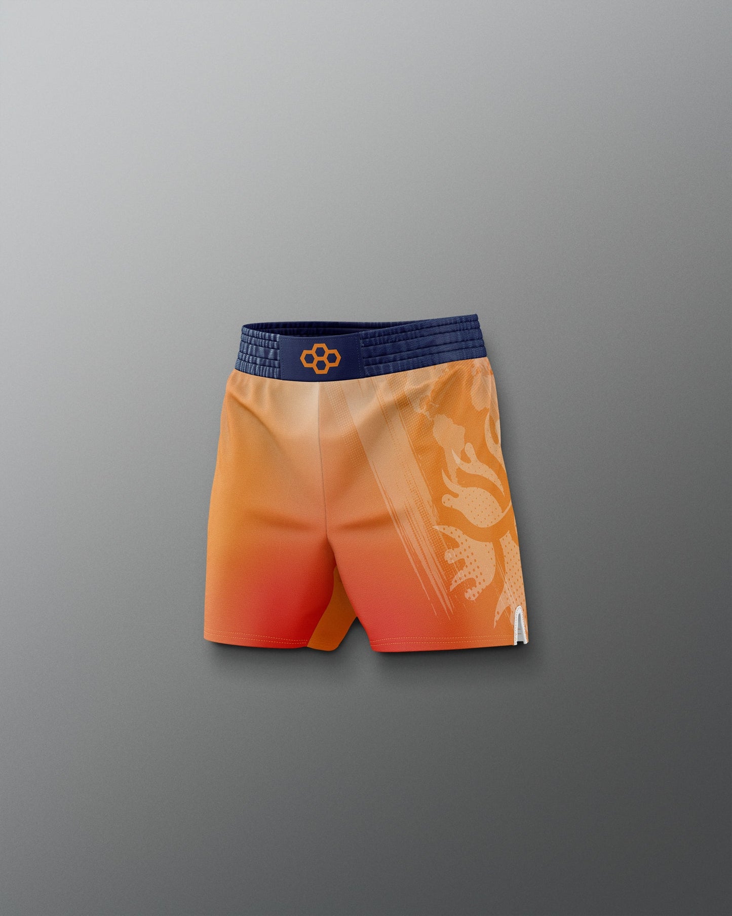 RUDIS UWW Gradient Boy's Elite Shorts - Wrestling Shorts