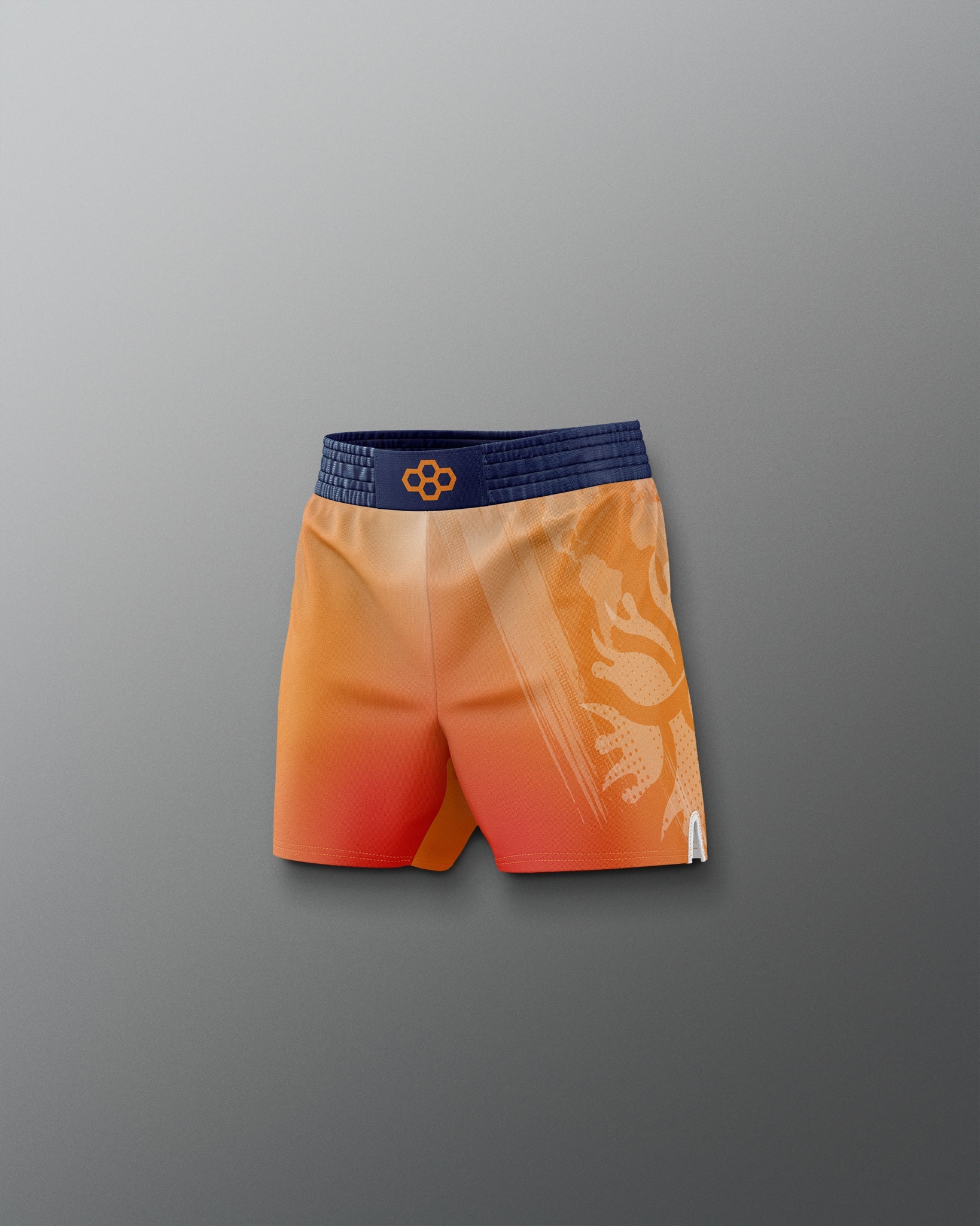 RUDIS UWW Gradient Boy's Elite Shorts - Wrestling Shorts