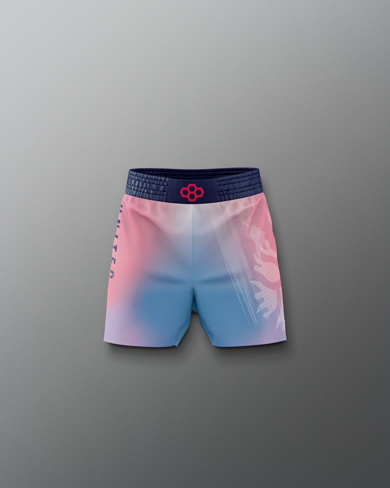 RUDIS UWW Gradient Boy's Elite Shorts - Wrestling Shorts