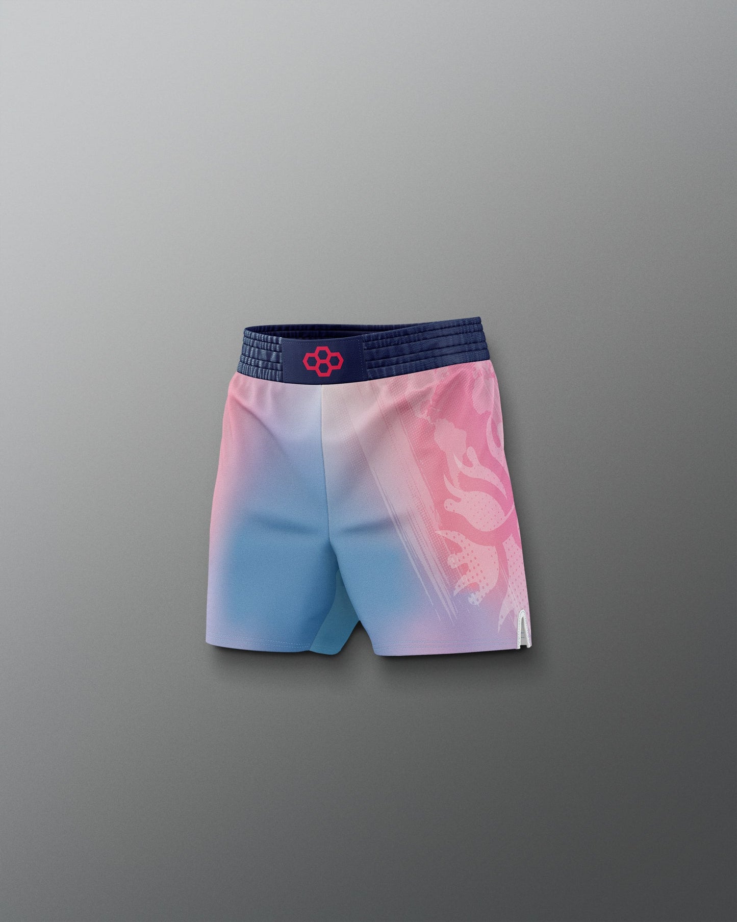 RUDIS UWW Gradient Boy's Elite Shorts - Wrestling Shorts