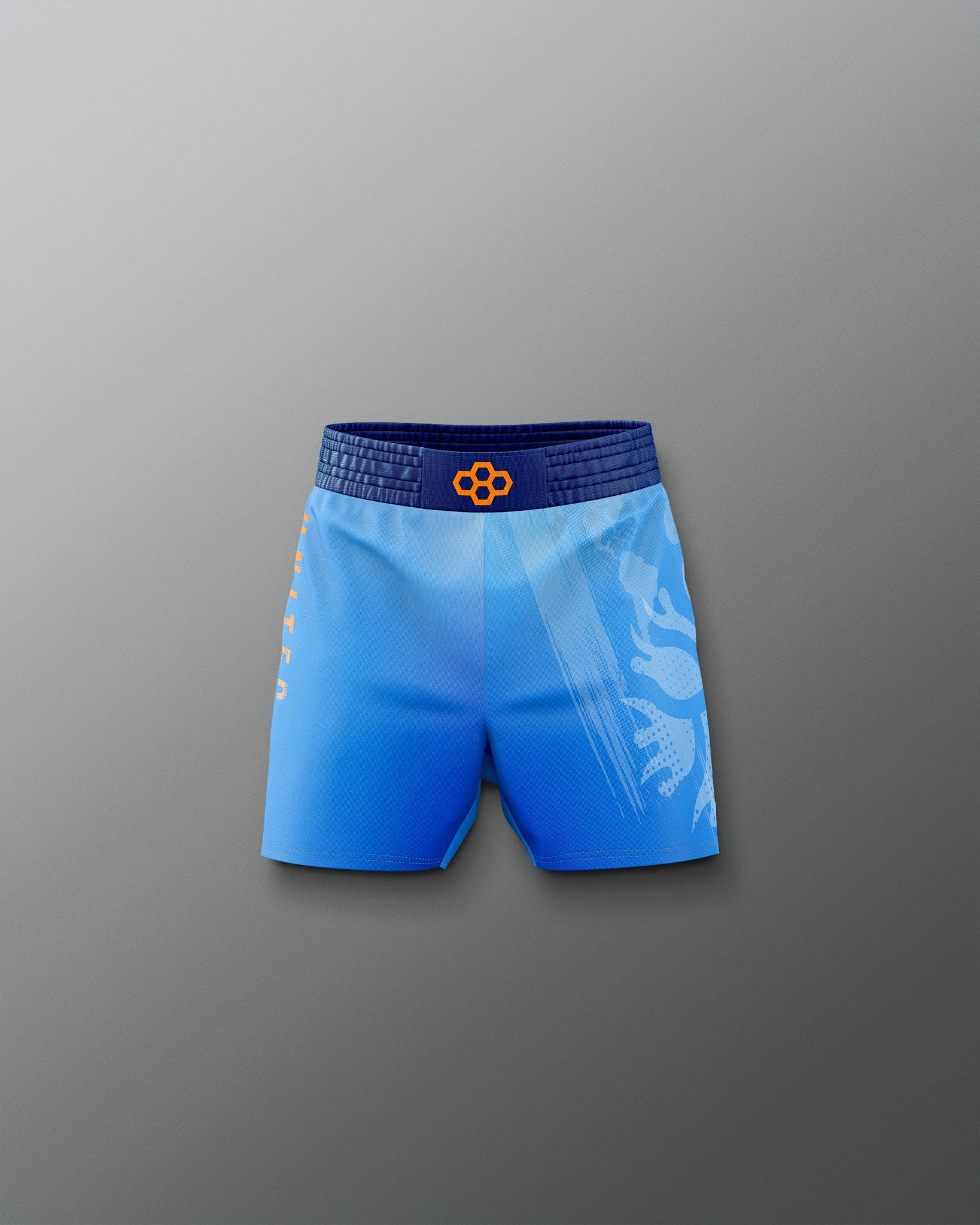 RUDIS UWW Gradient Boy's Elite Shorts - Wrestling Shorts