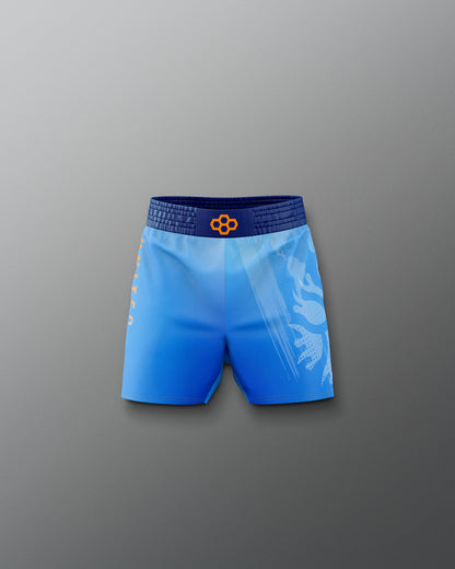 RUDIS UWW Gradient Boy's Elite Shorts - Wrestling Shorts