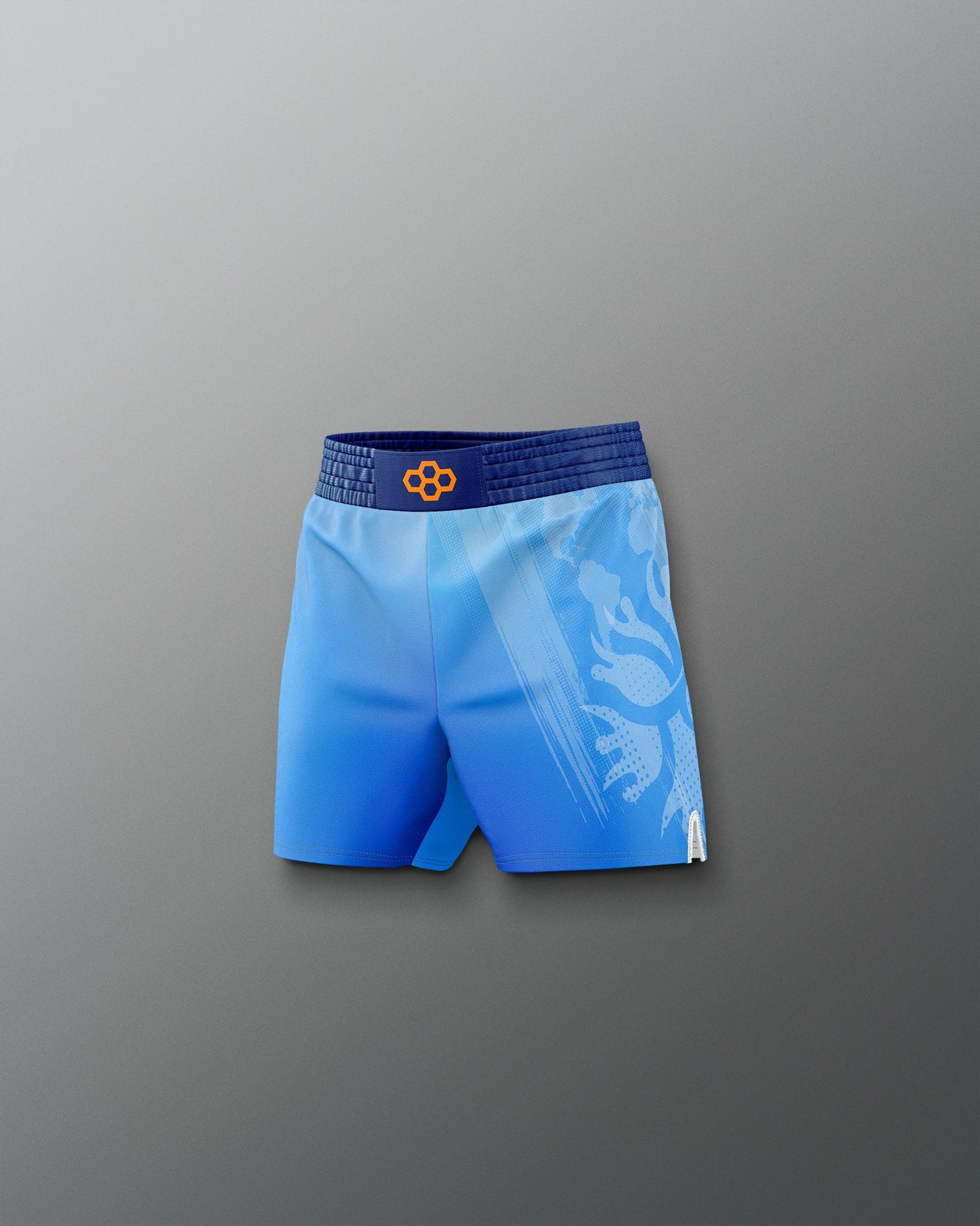 RUDIS UWW Gradient Boy's Elite Shorts - Wrestling Shorts