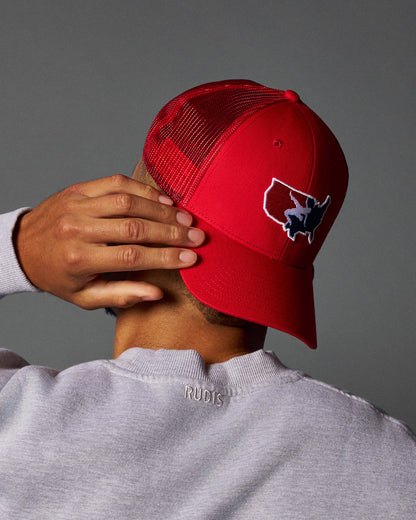 RUDIS USA Wrestling Logo Bridge Trucker Hat