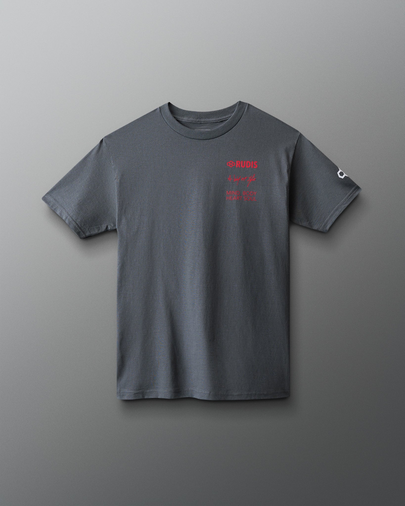 RUDIS Be Strong & Courageous Heavyweight T-Shirt