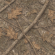 Tree Camo